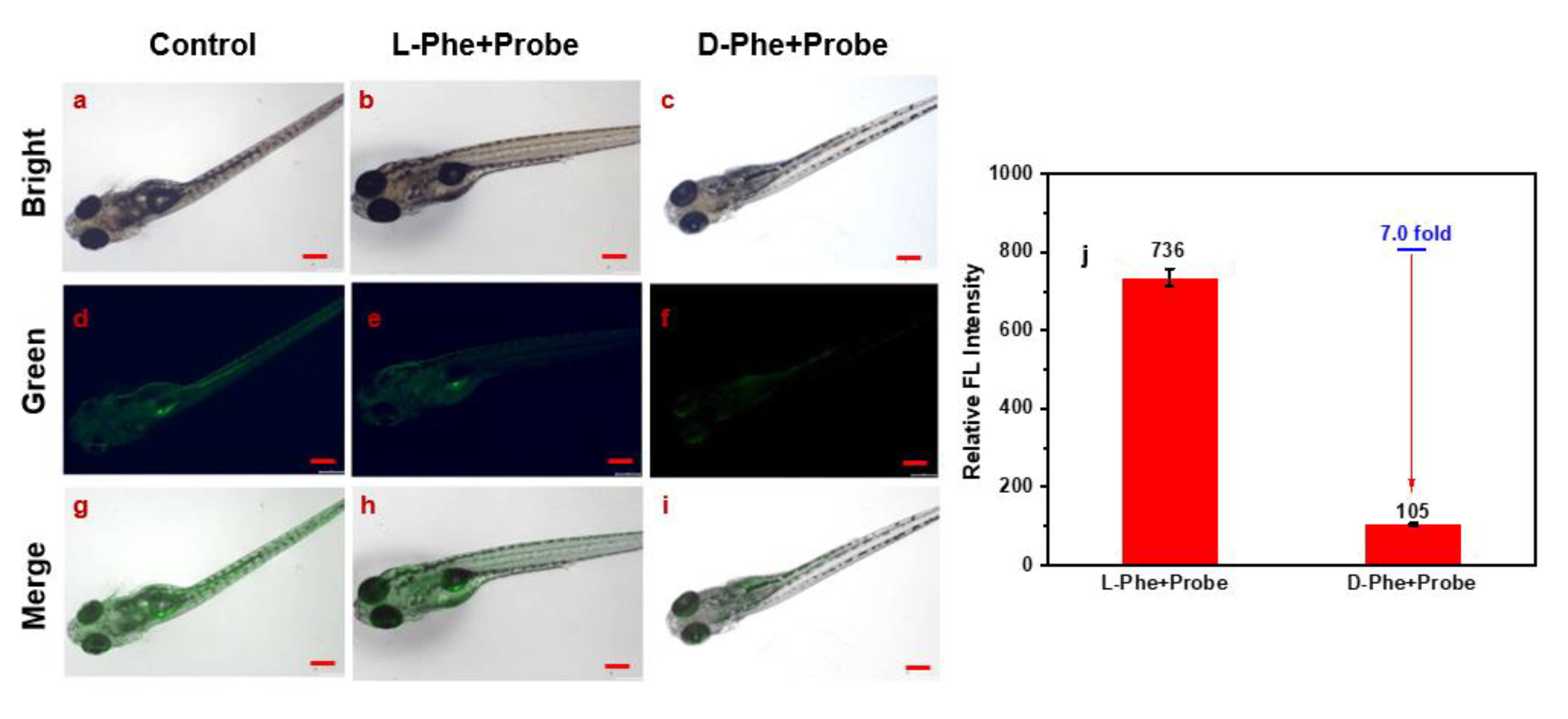 Molecules 28 03700 g005 Molecules 28 03700 g005