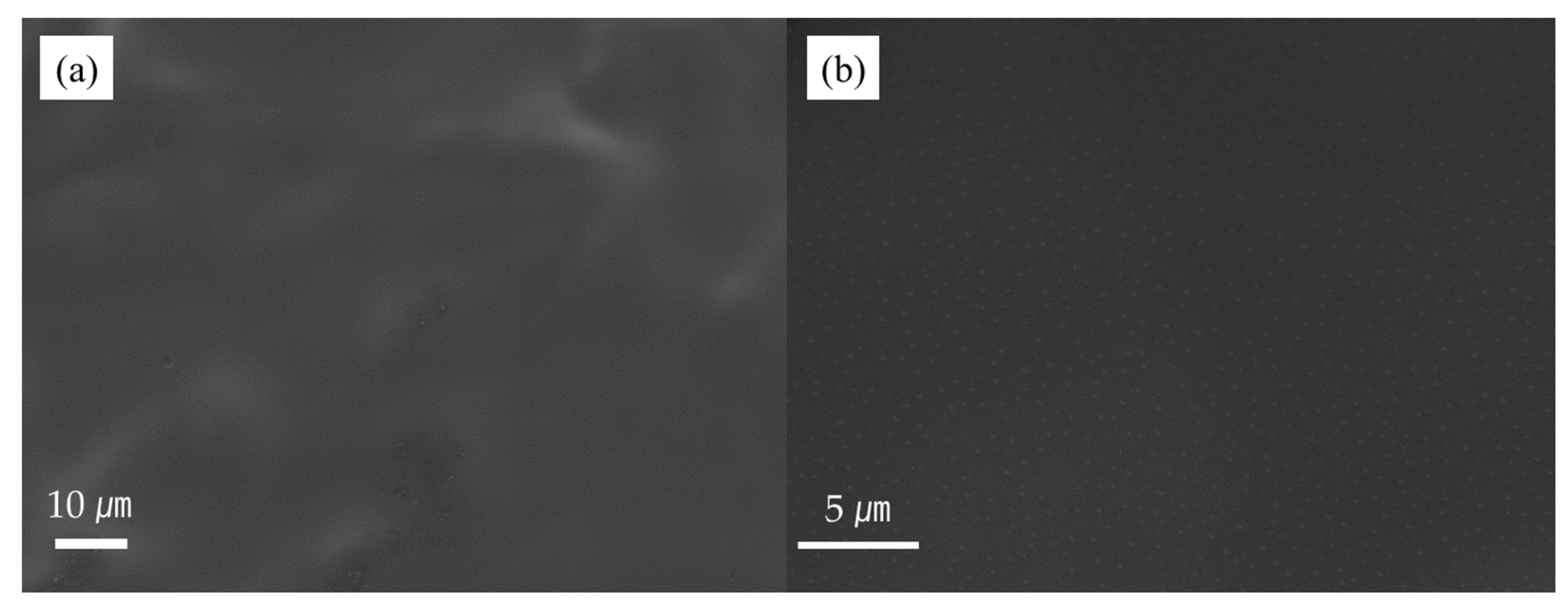 Molecules 28 03702 g001