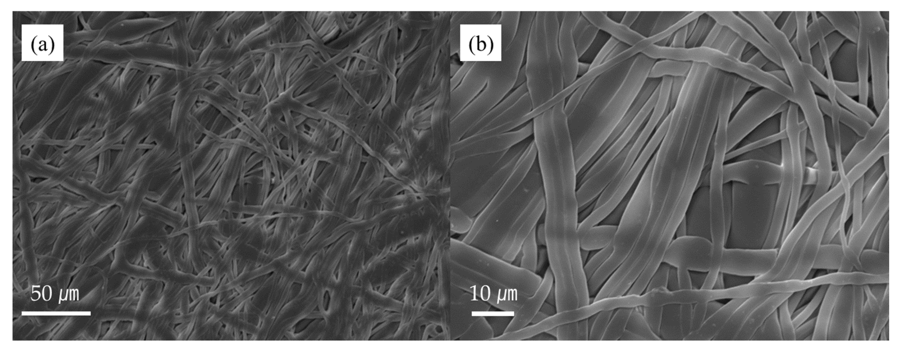 Molecules 28 03702 g002