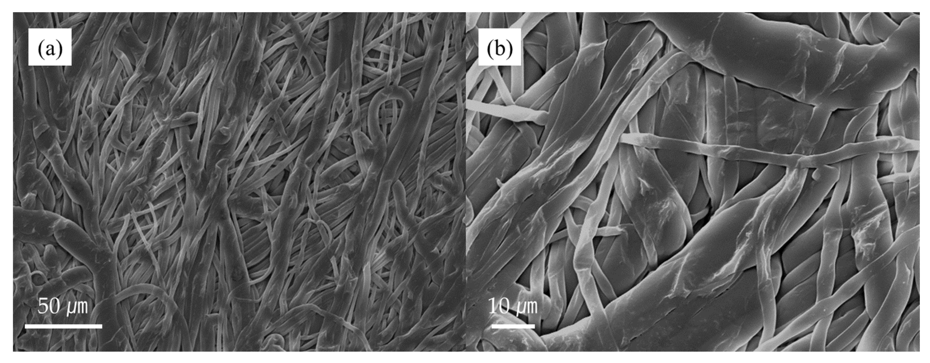 Molecules 28 03702 g004