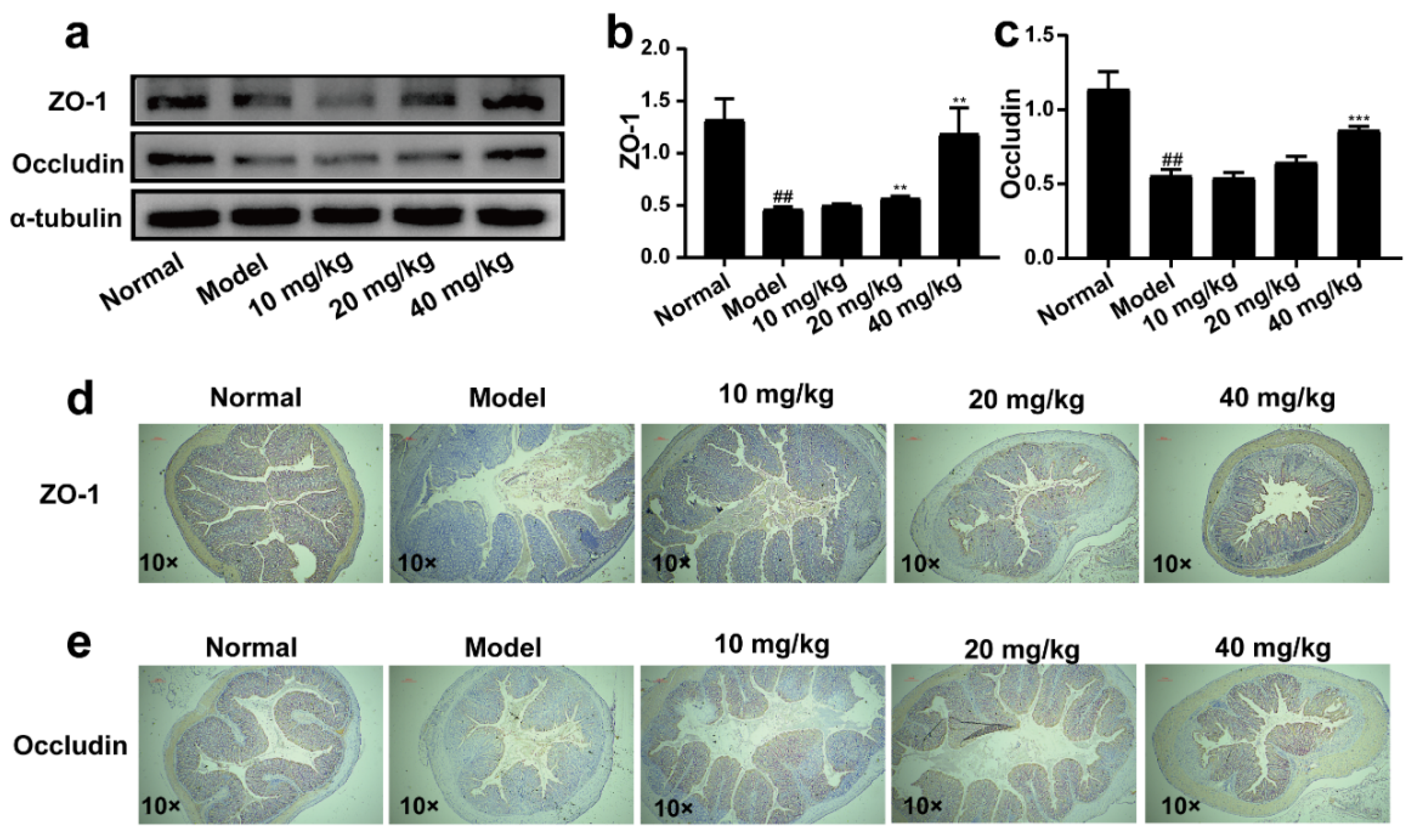 Molecules 28 03704 g005