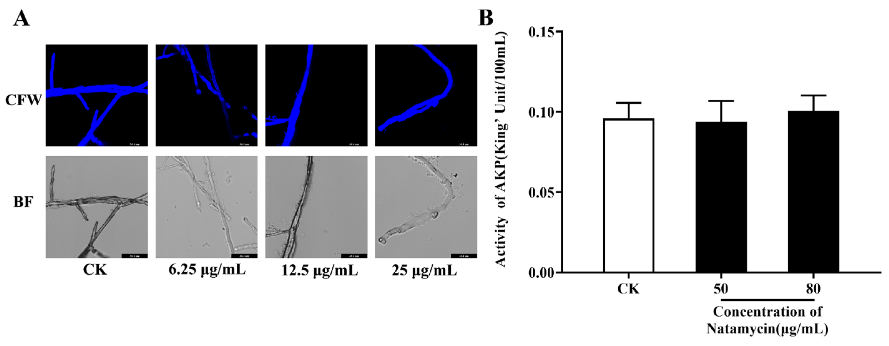 Molecules 28 03707 g002 Molecules 28 03707 g002