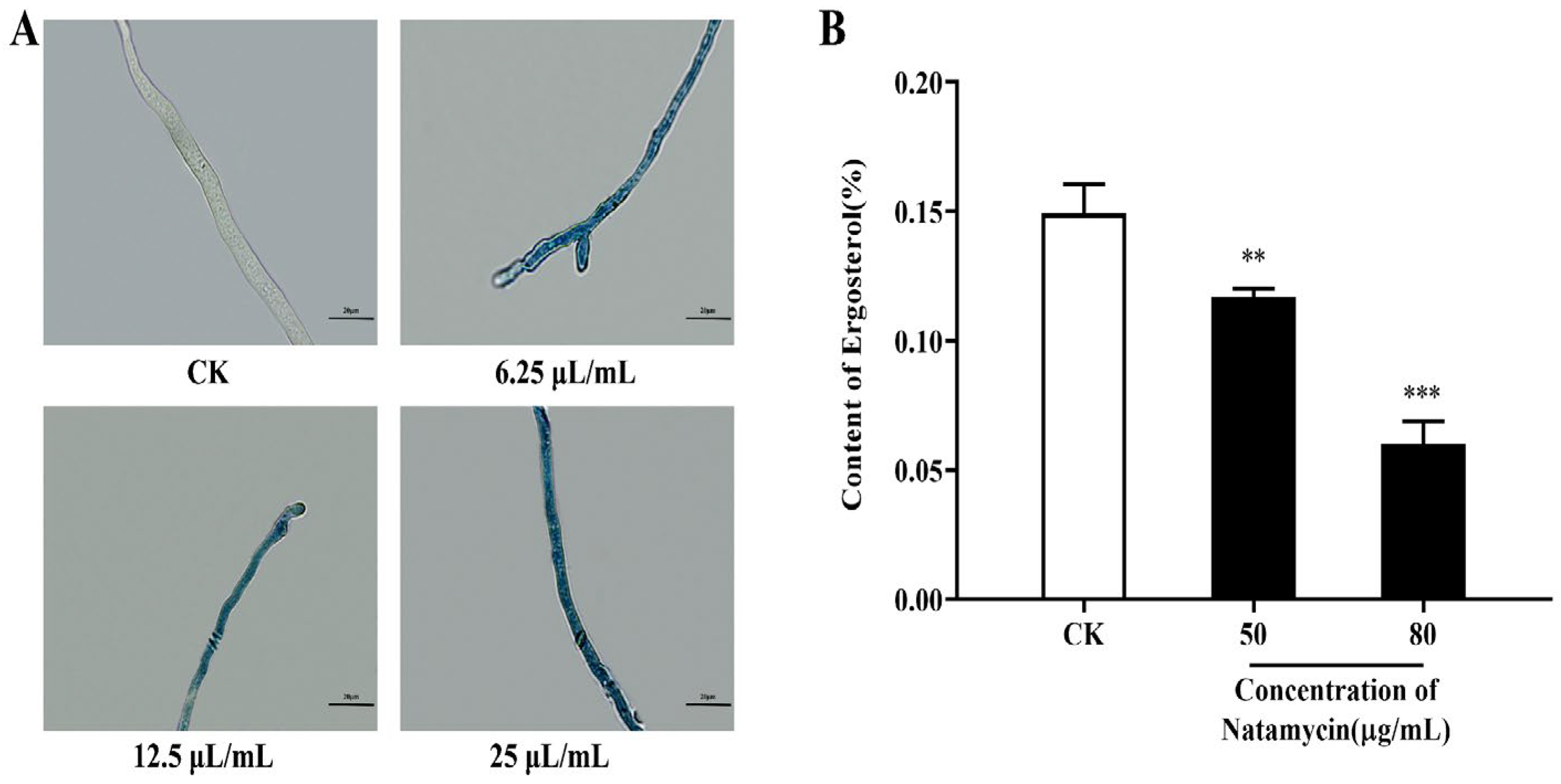 Molecules 28 03707 g003 Molecules 28 03707 g003