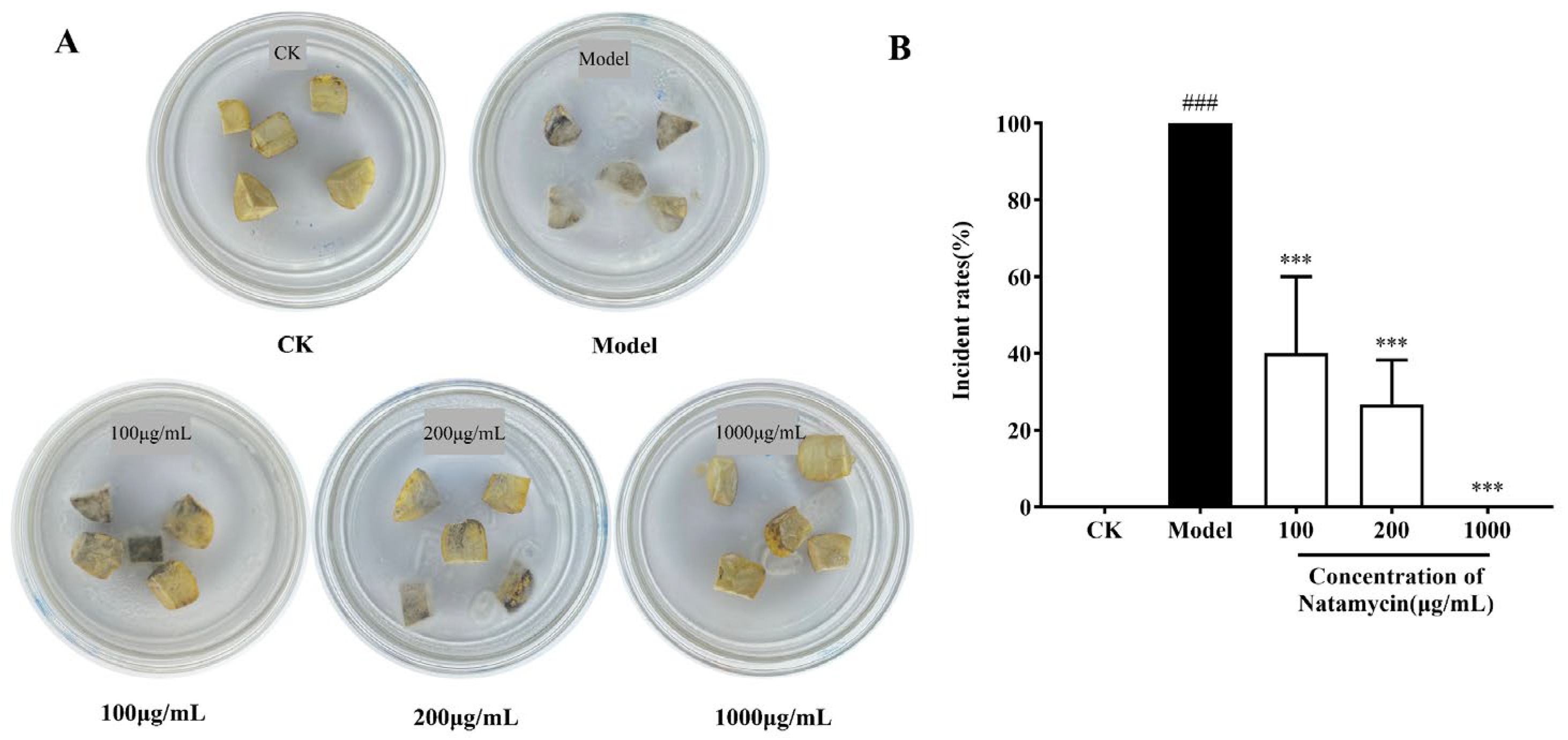 Molecules 28 03707 g006 Molecules 28 03707 g006