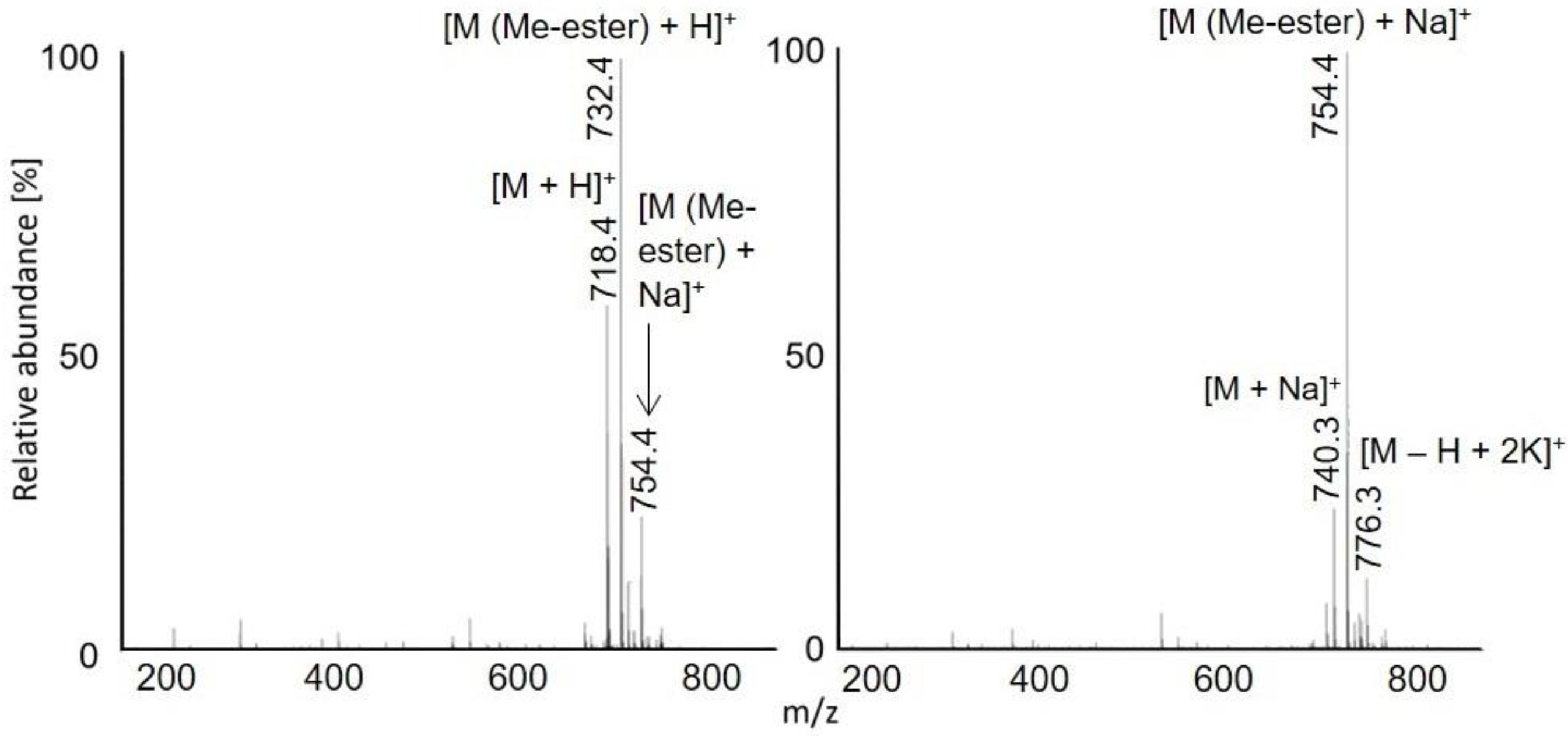 Molecules 28 03711 g003