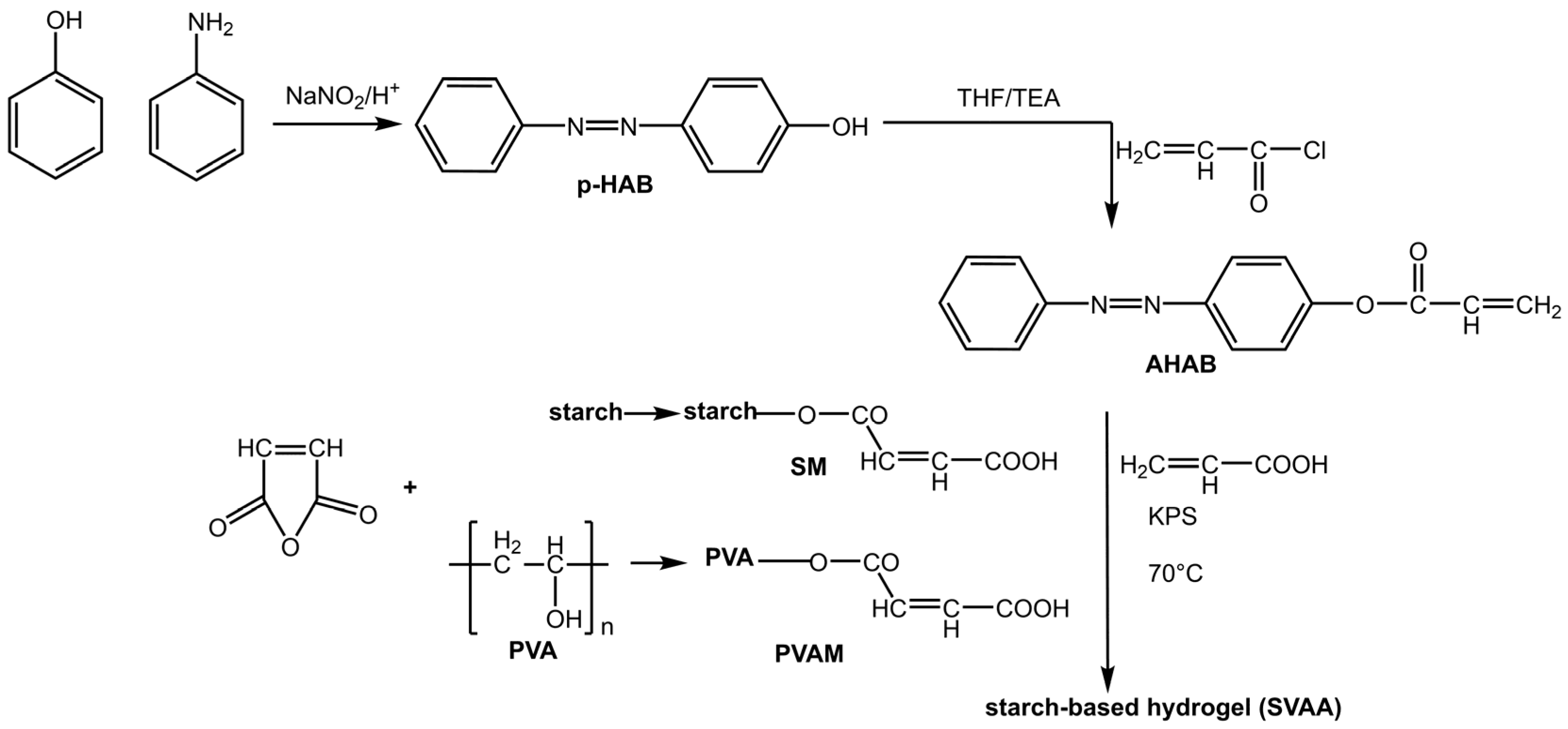 Molecules 28 03712 g003