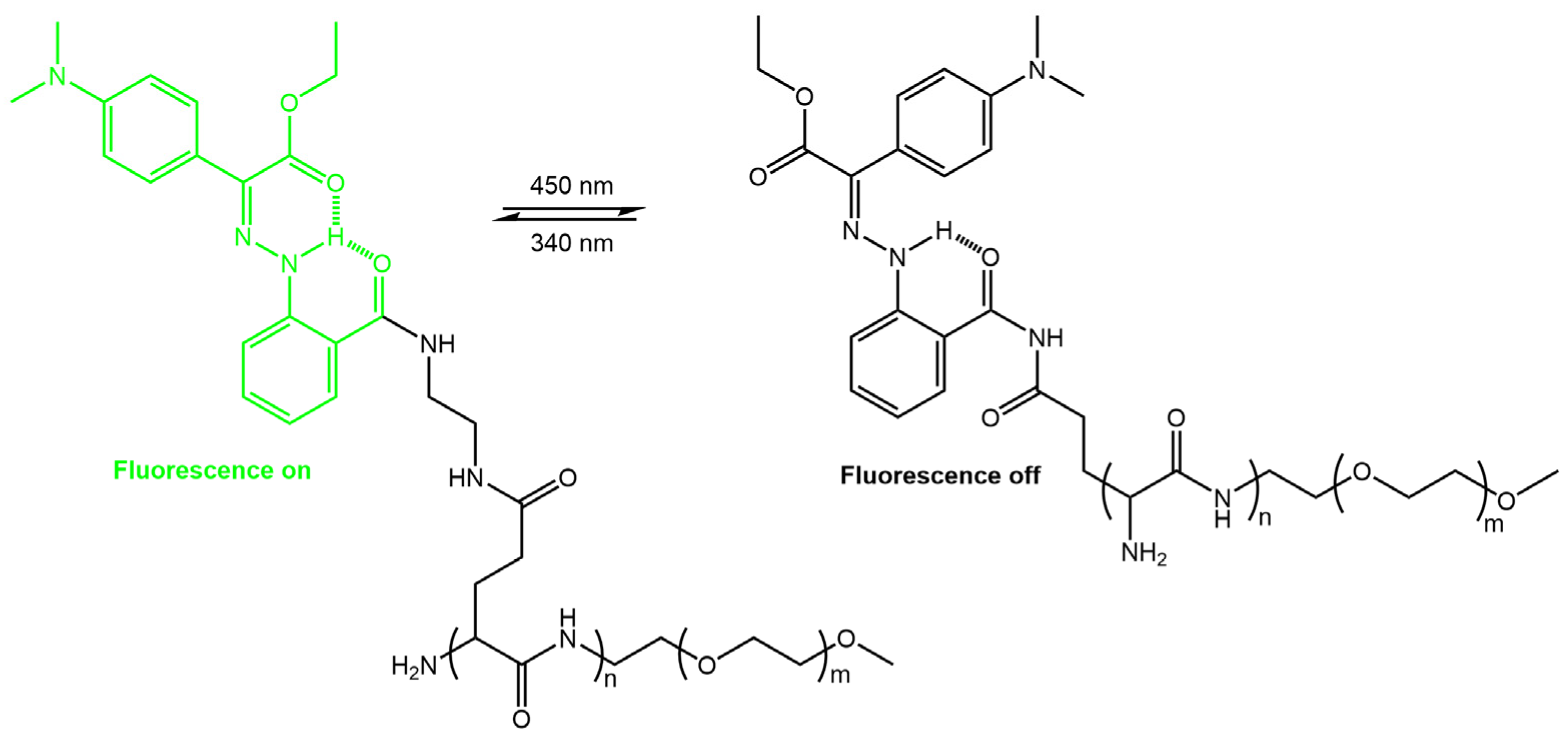 Molecules 28 03712 g019