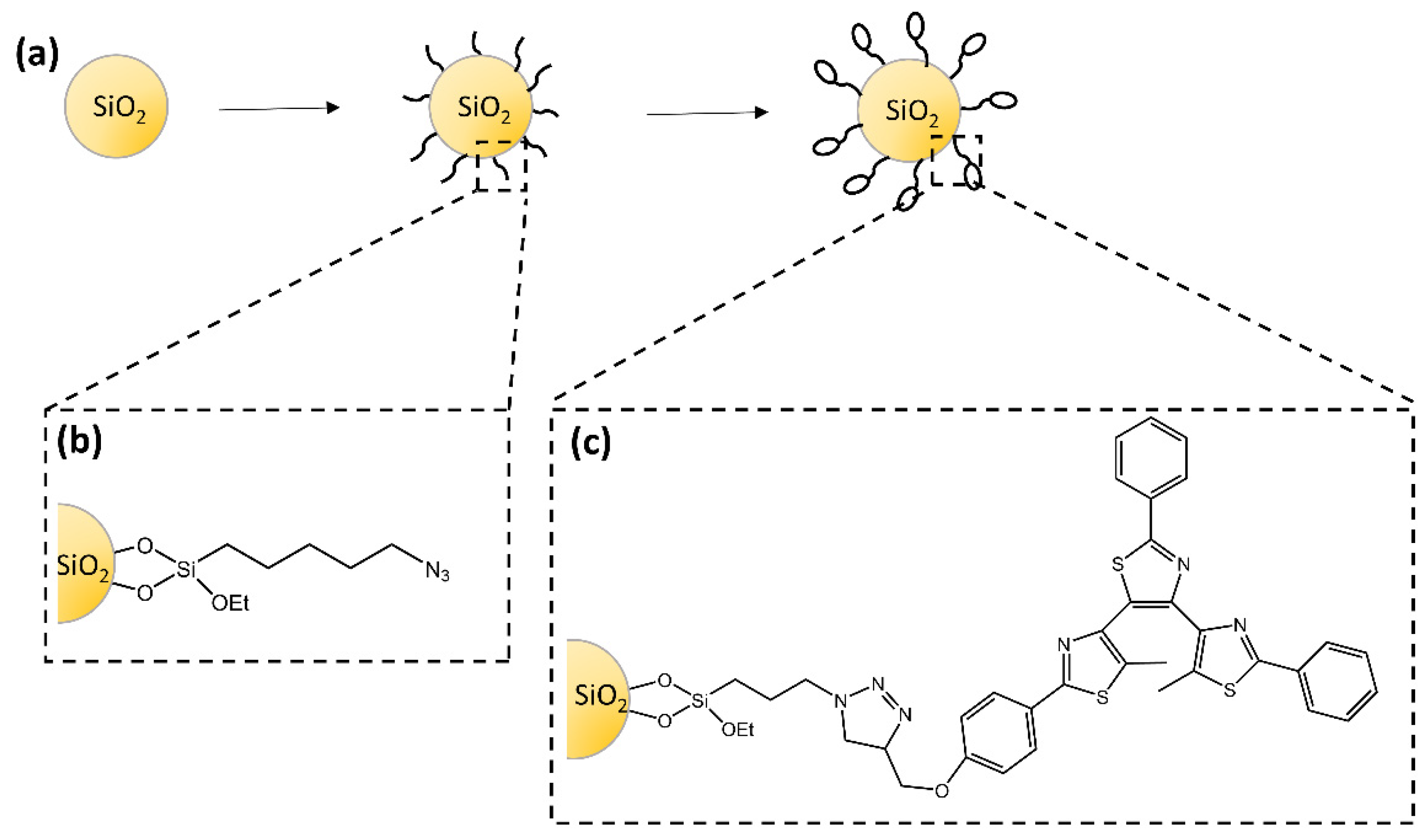 Molecules 28 03712 g023