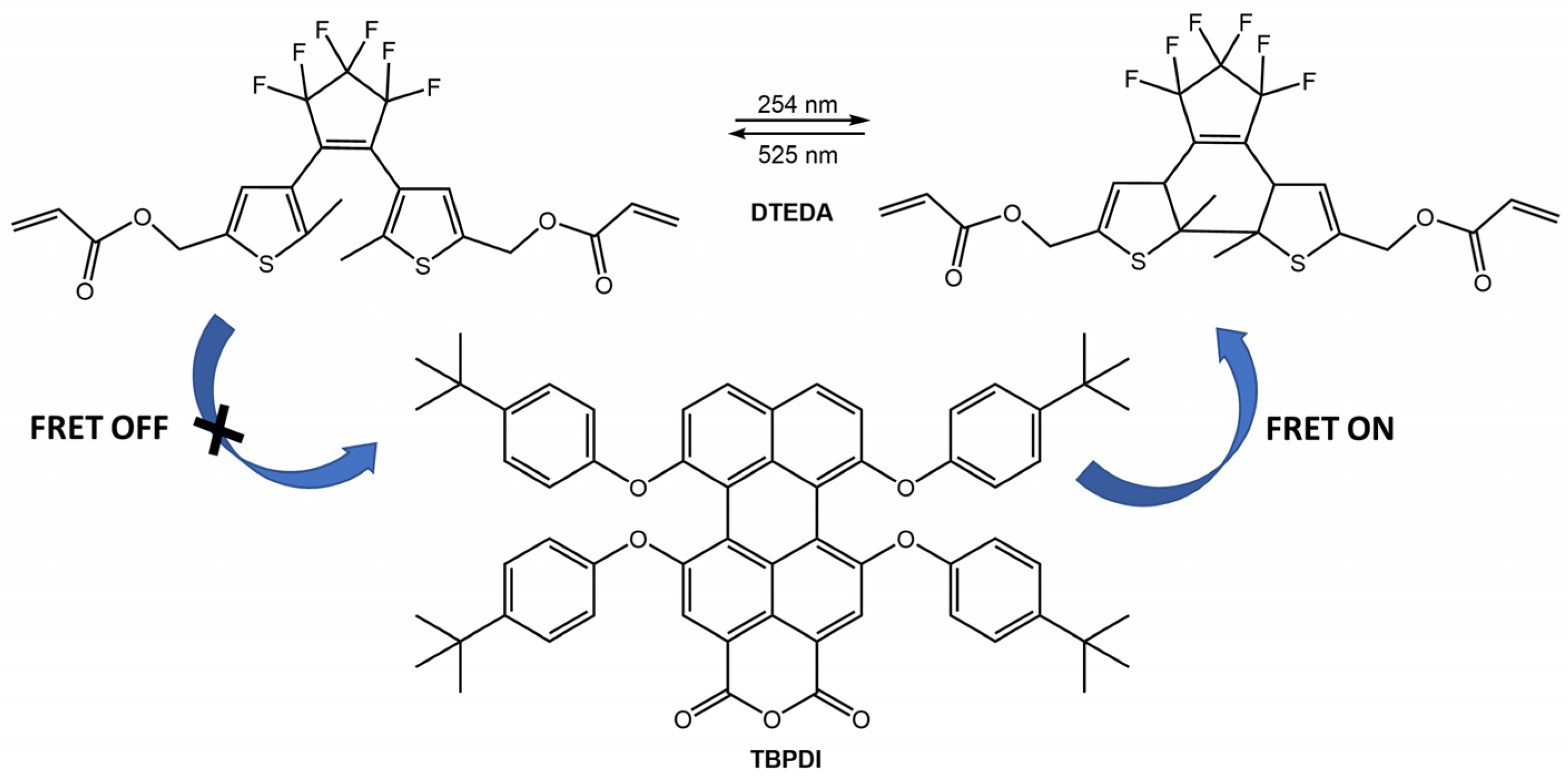 Molecules 28 03712 g025