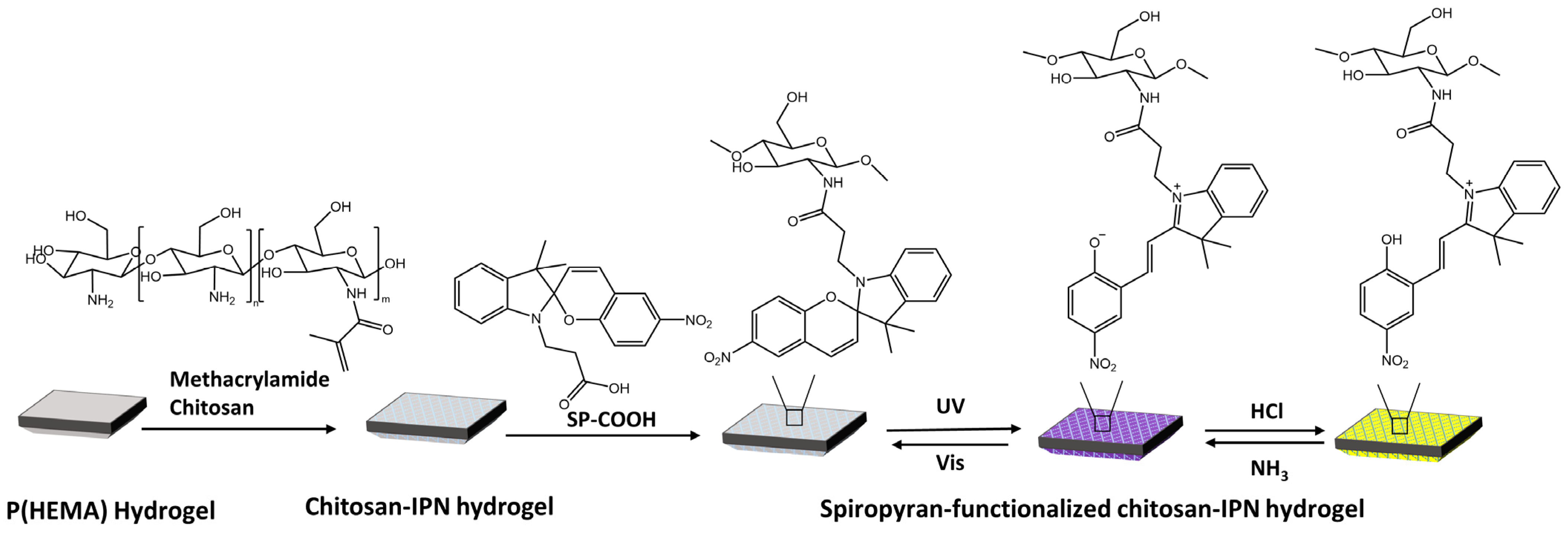 Molecules 28 03712 g032