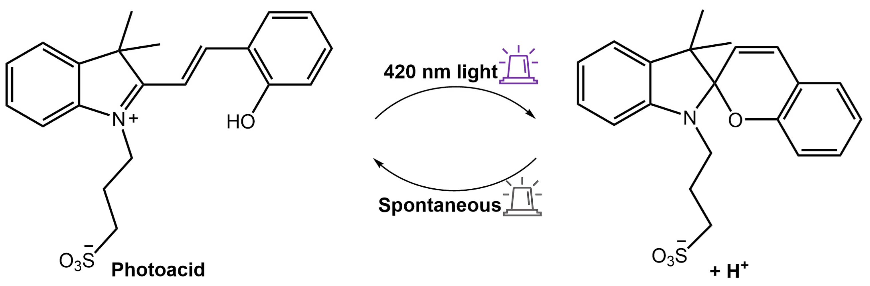 Molecules 28 03712 g034