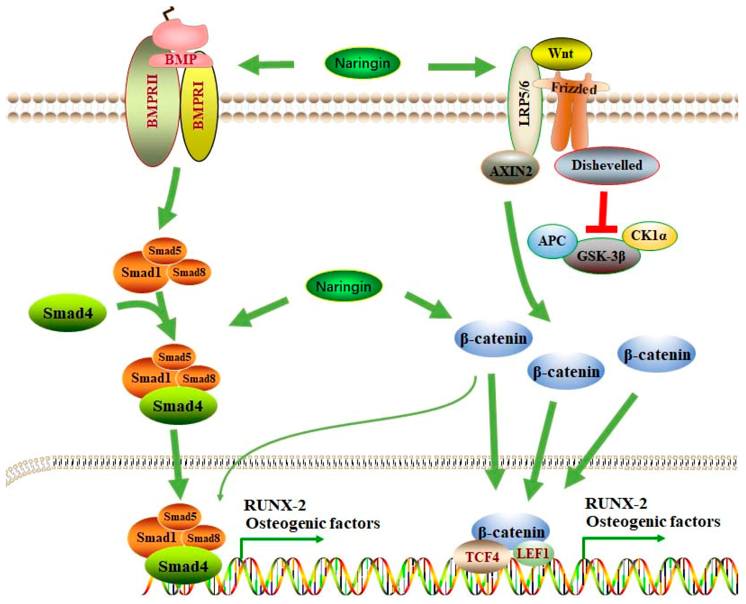 Molecules 28 03716 g003 Molecules 28 03716 g003