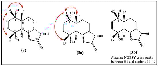 Molecules 28 03729 g002