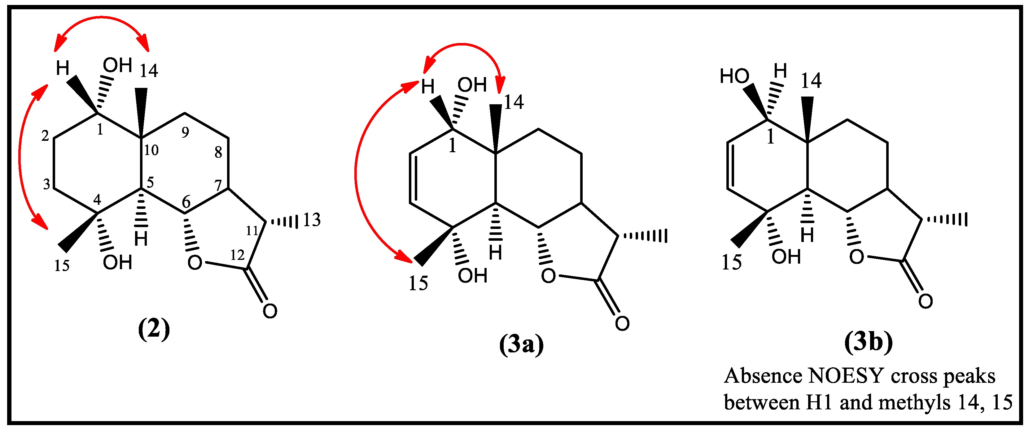 Molecules 28 03729 g002