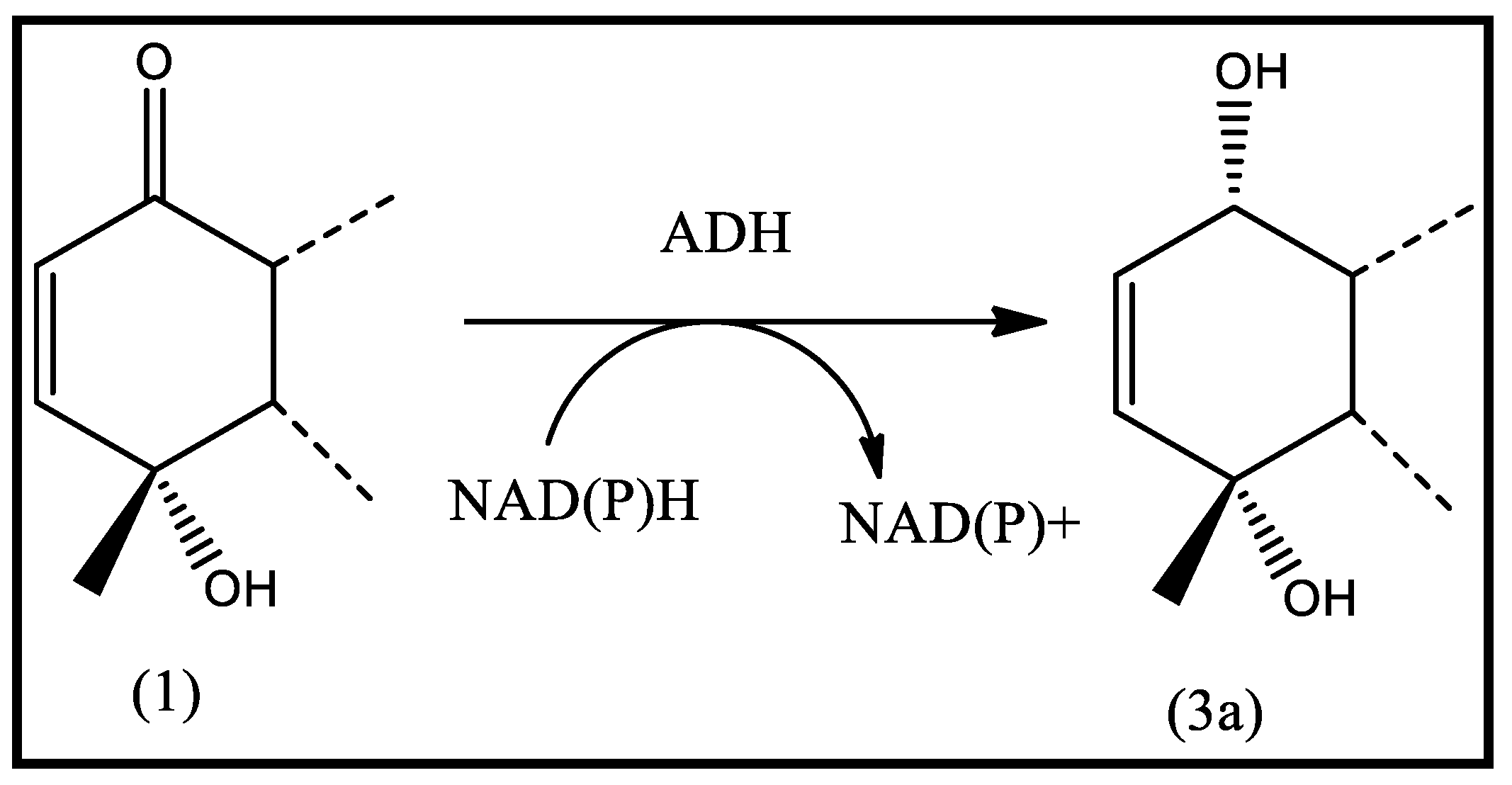 Molecules 28 03729 g003