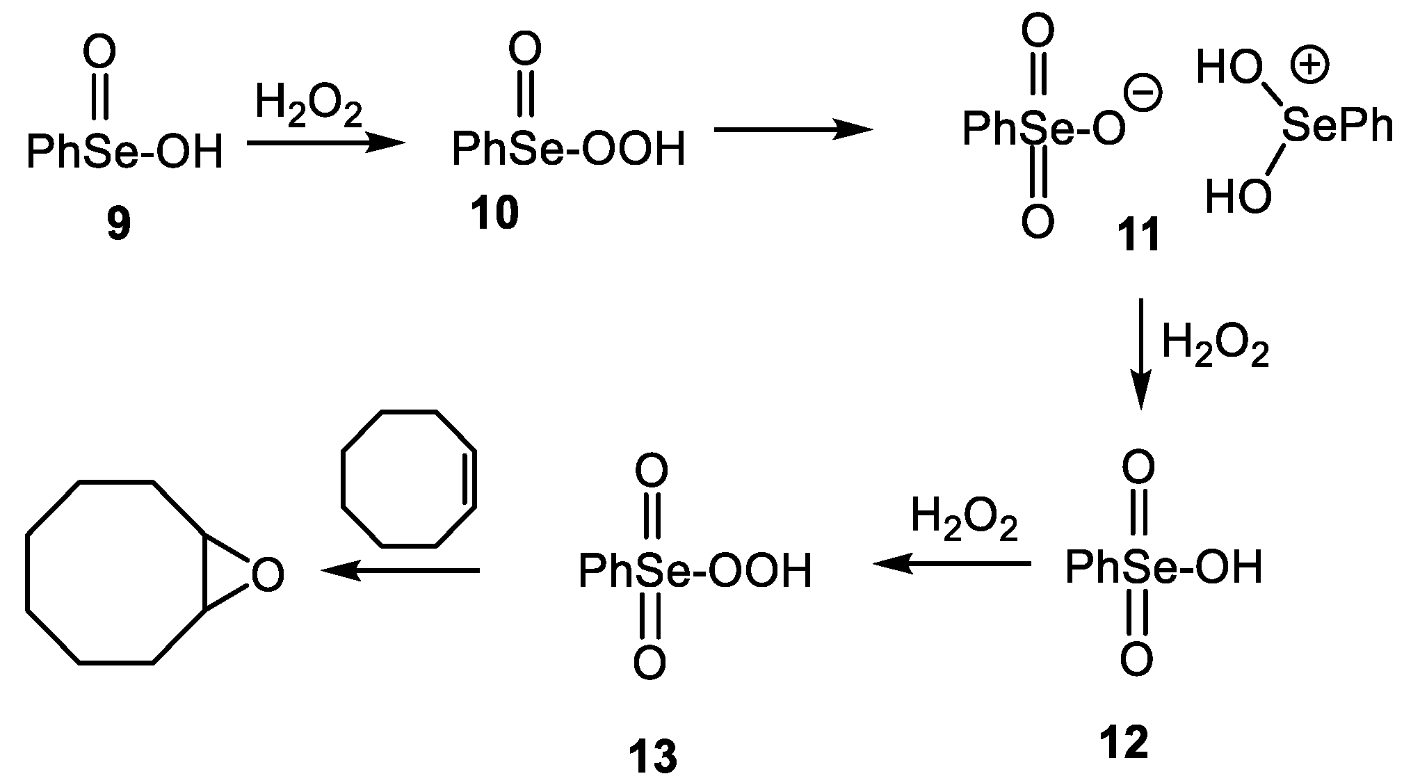 Molecules 28 03732 sch002