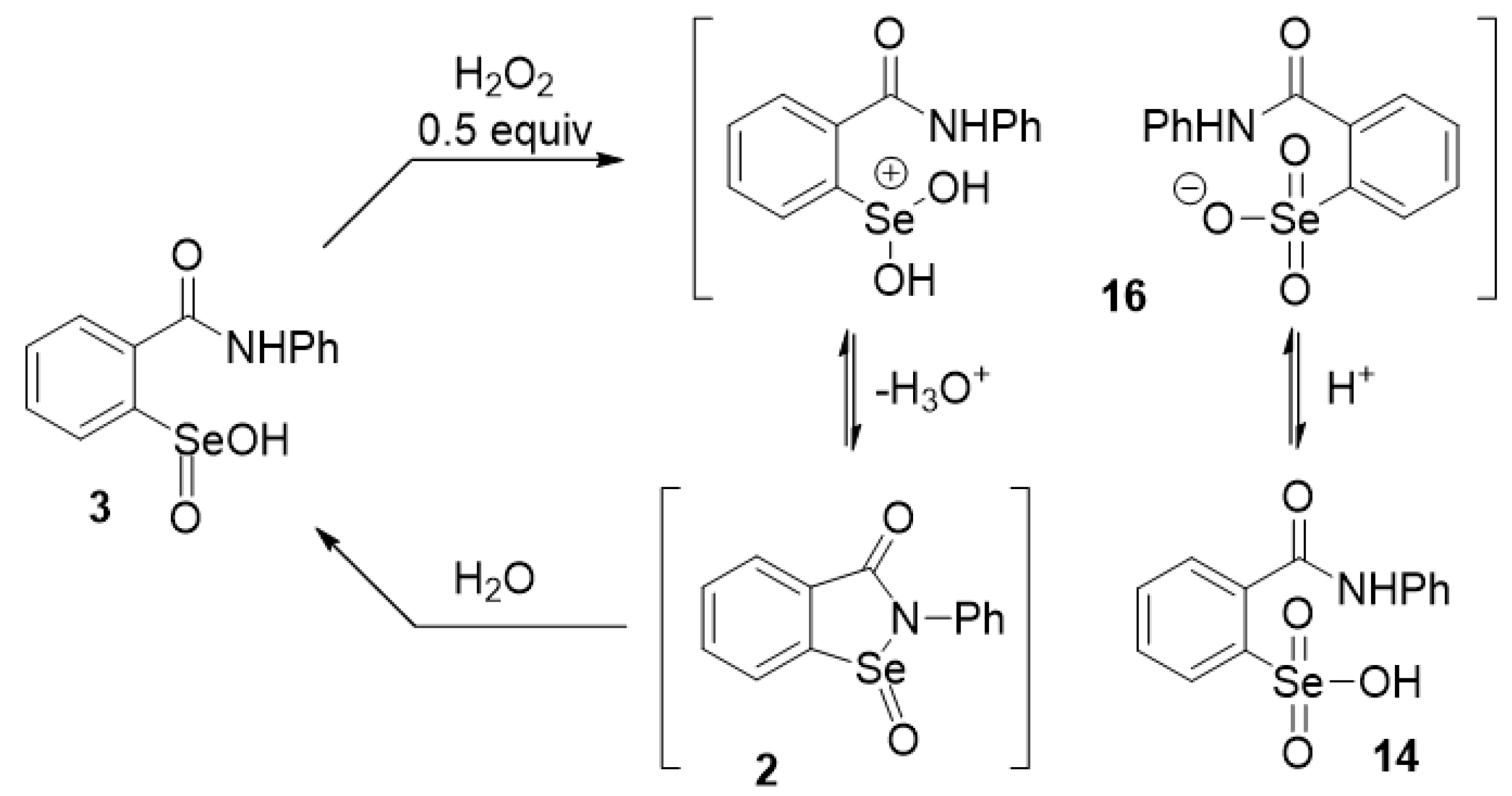 Molecules 28 03732 sch004