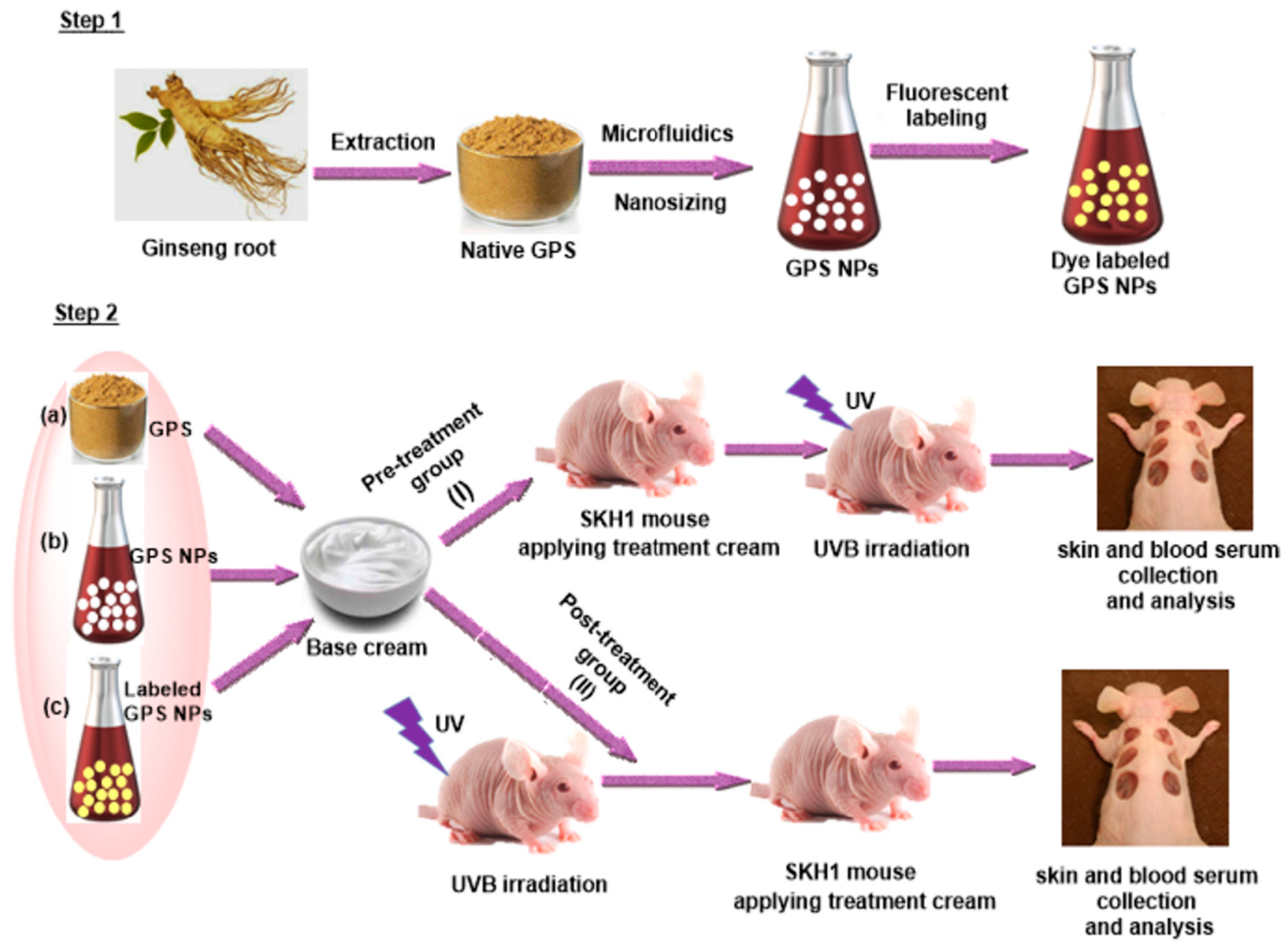 Molecules 28 03733 g002