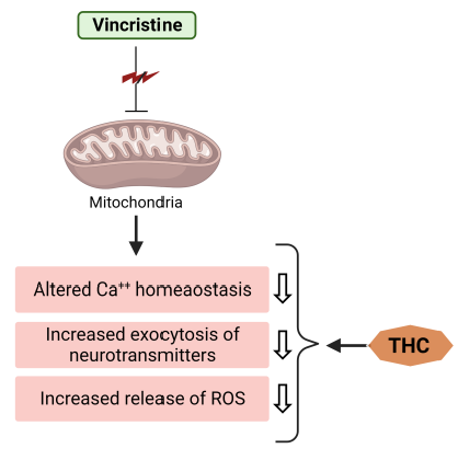 Molecules 28 03734 g004
