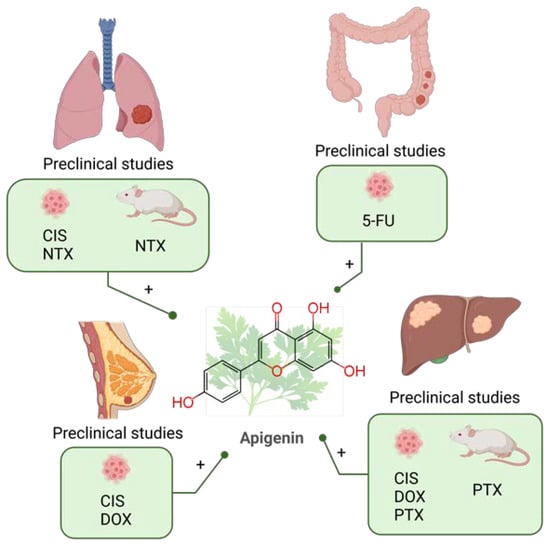 Molecules 28 03746 g005
