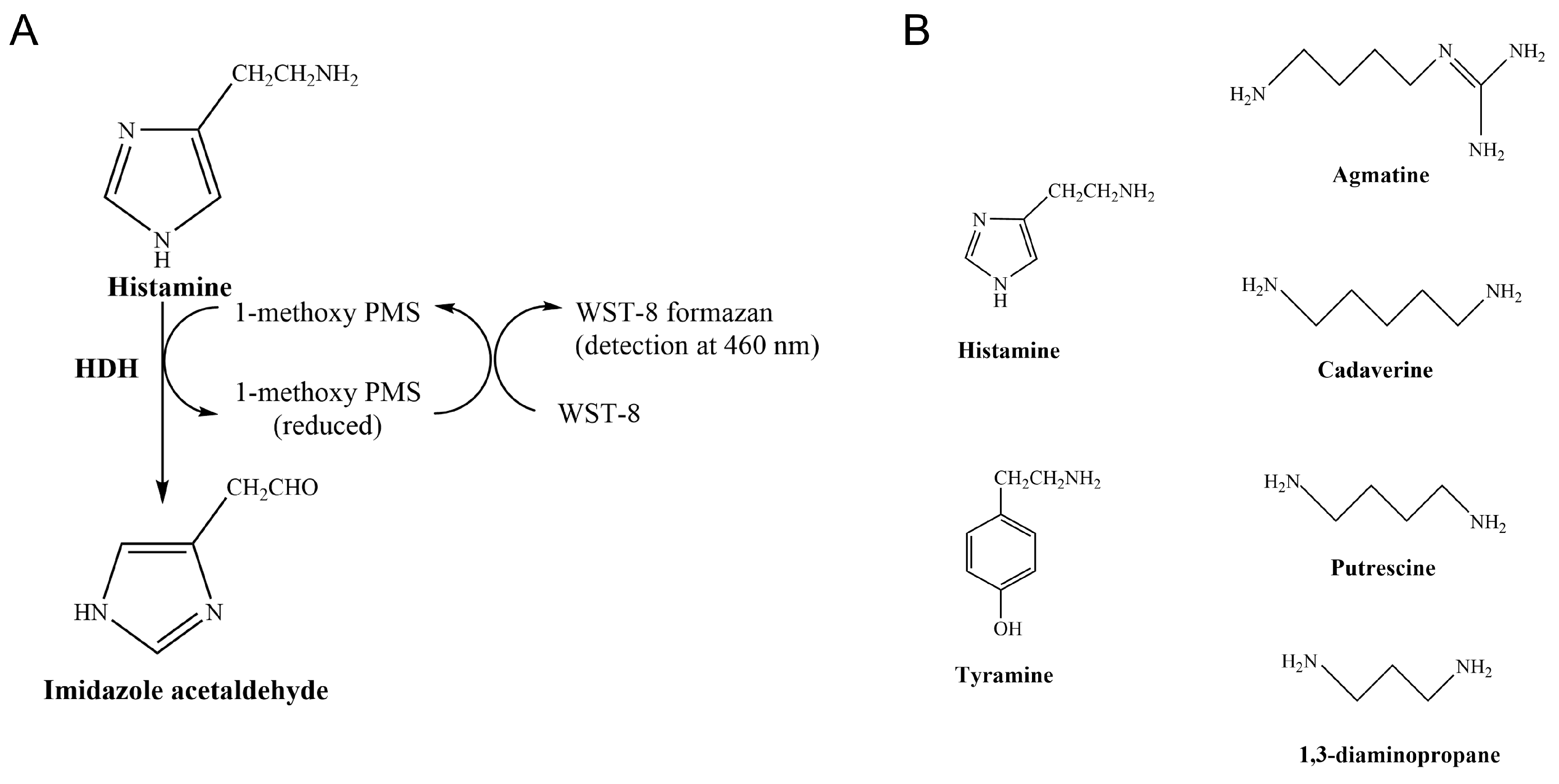 Molecules 28 03748 g001