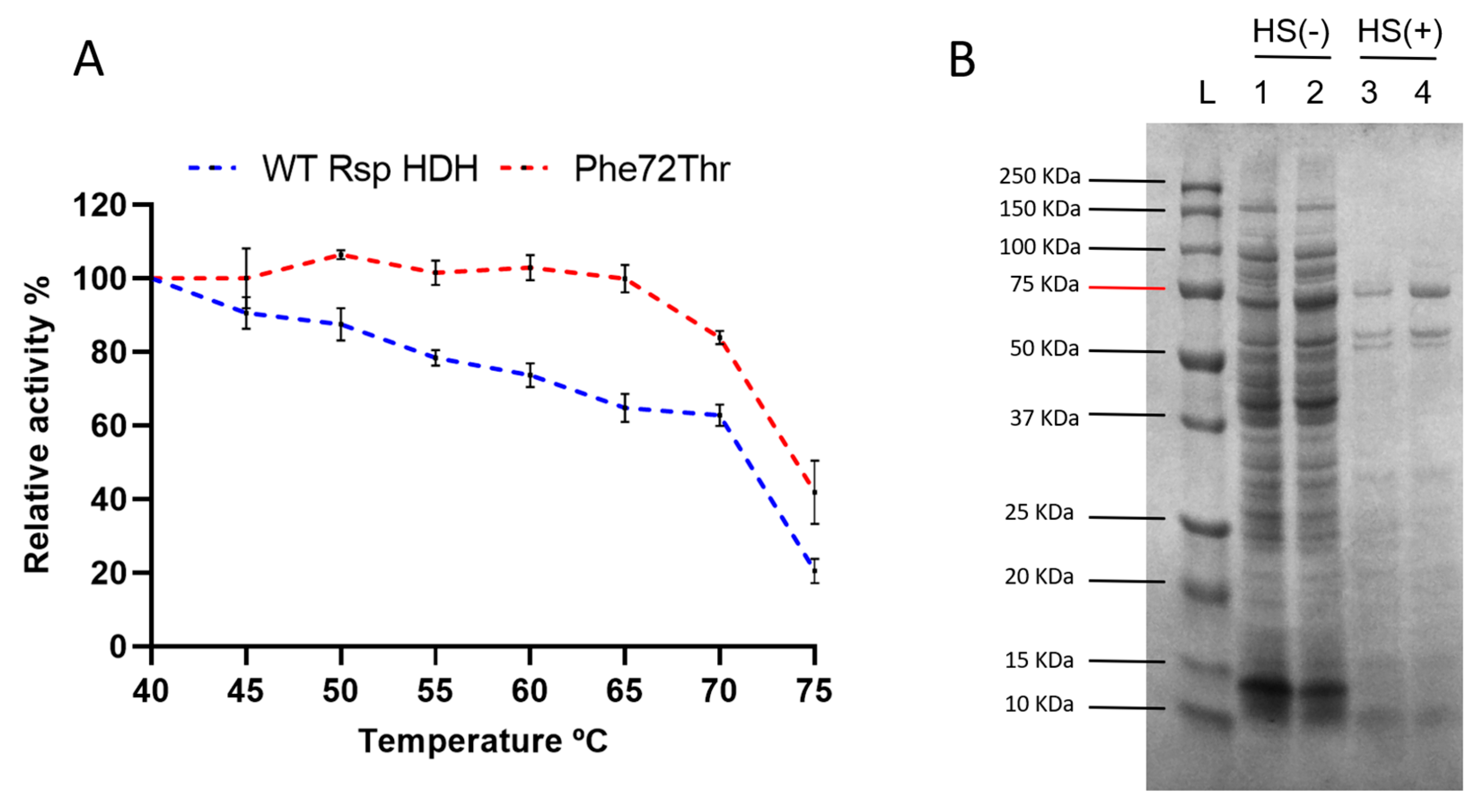 Molecules 28 03748 g006