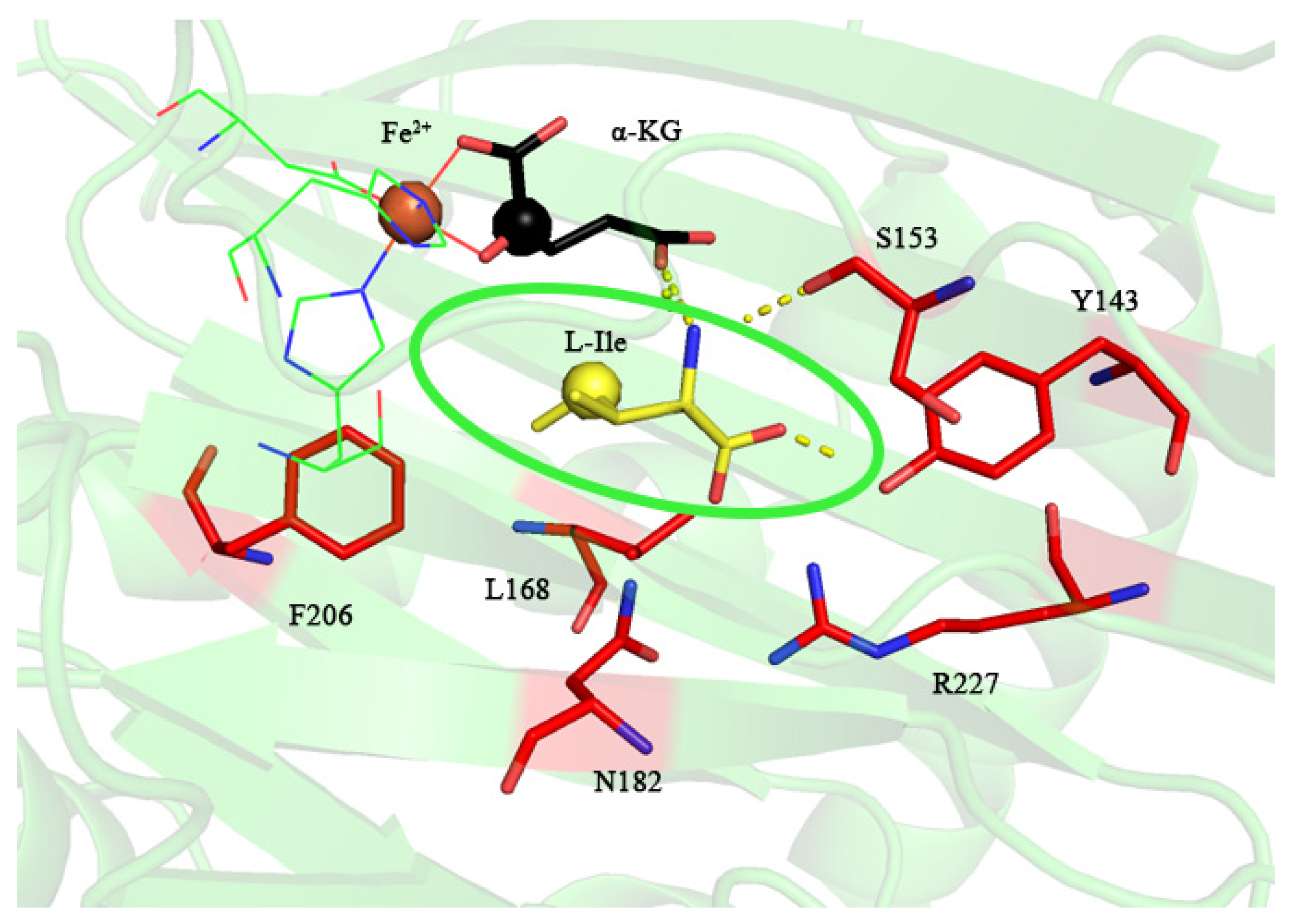 Molecules 28 03750 g004