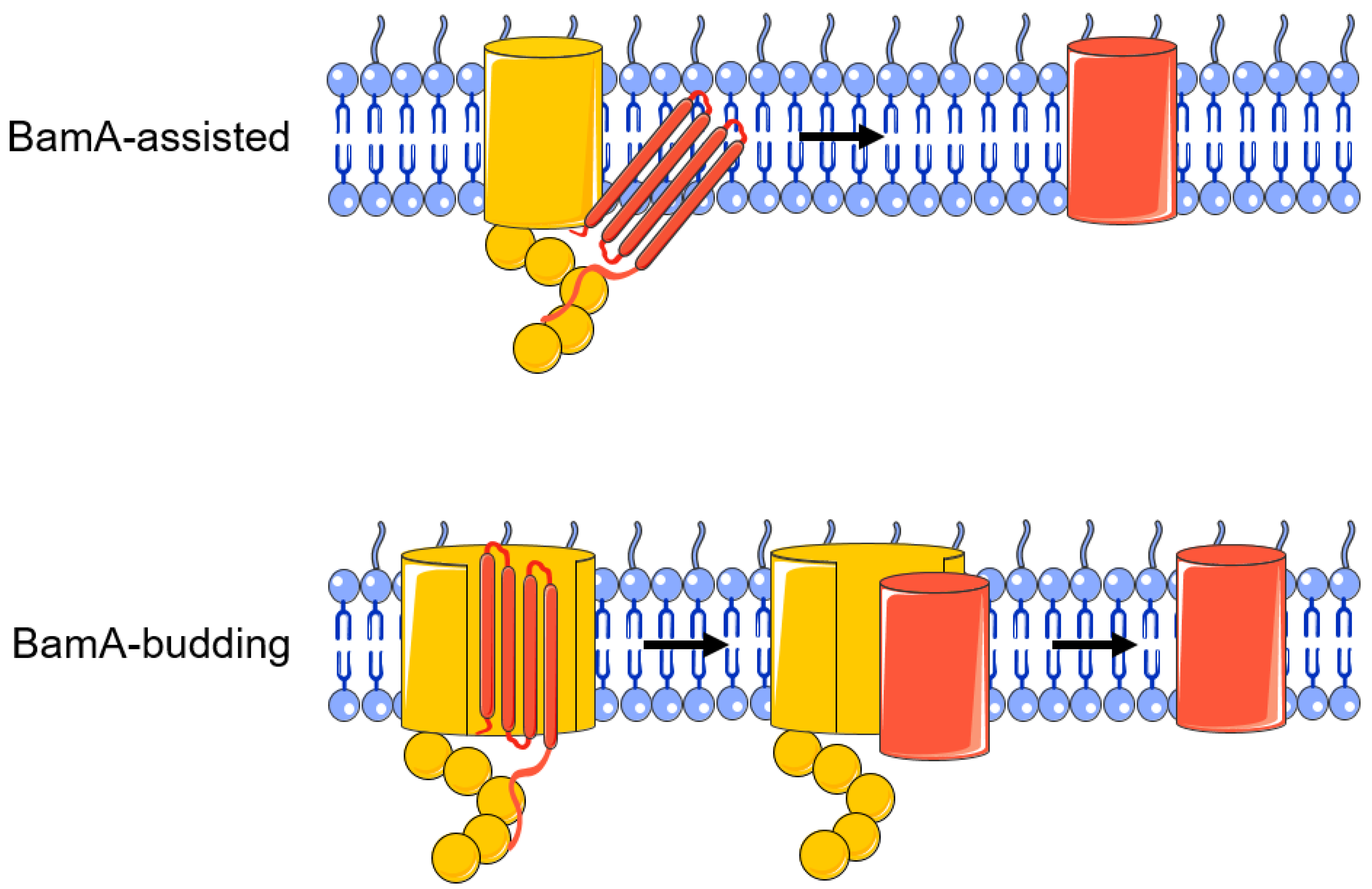 Molecules 28 03758 g003