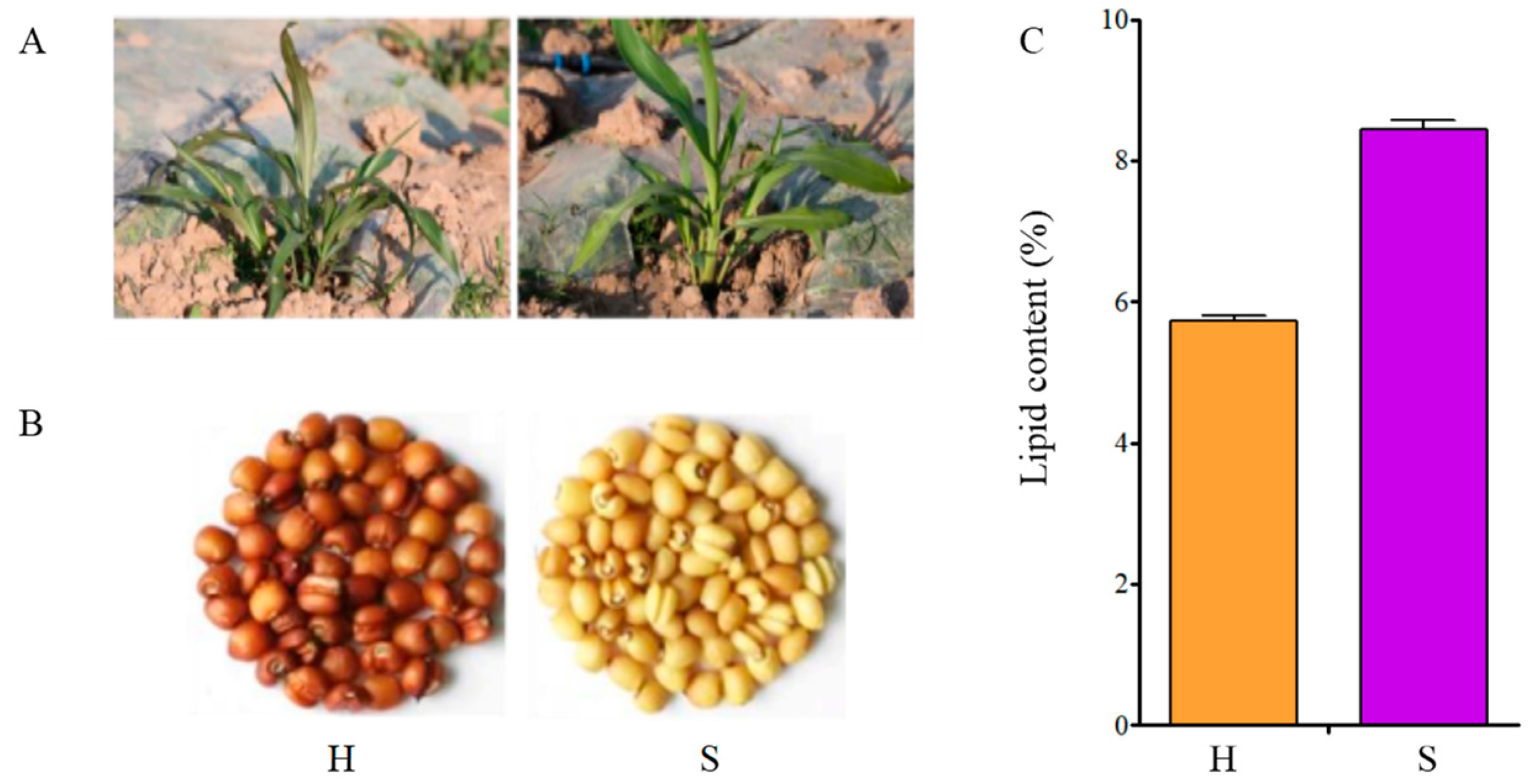 Molecules 28 03759 g008 Molecules 28 03759 g008