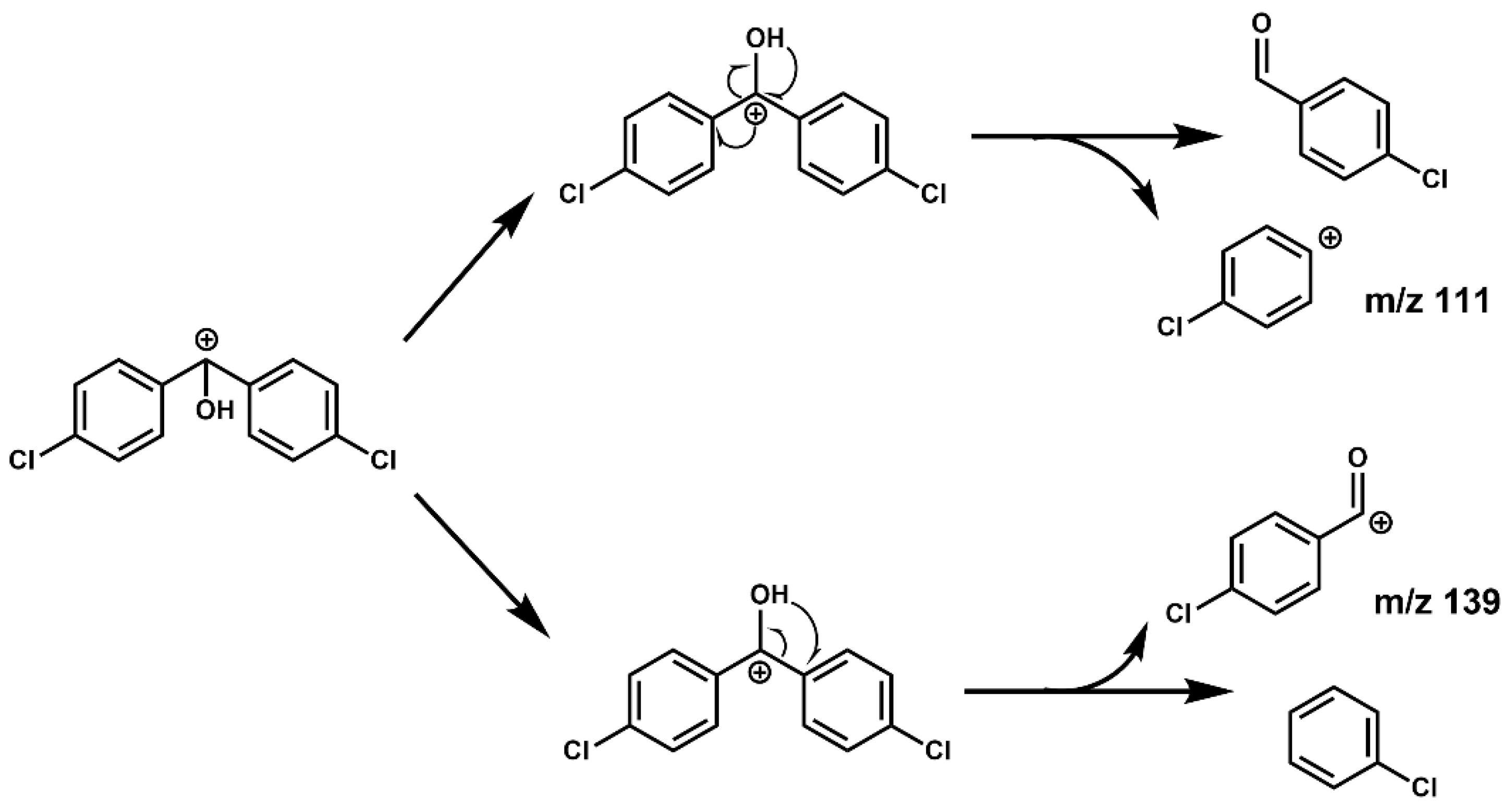 Molecules 28 03765 g004 Molecules 28 03765 g004