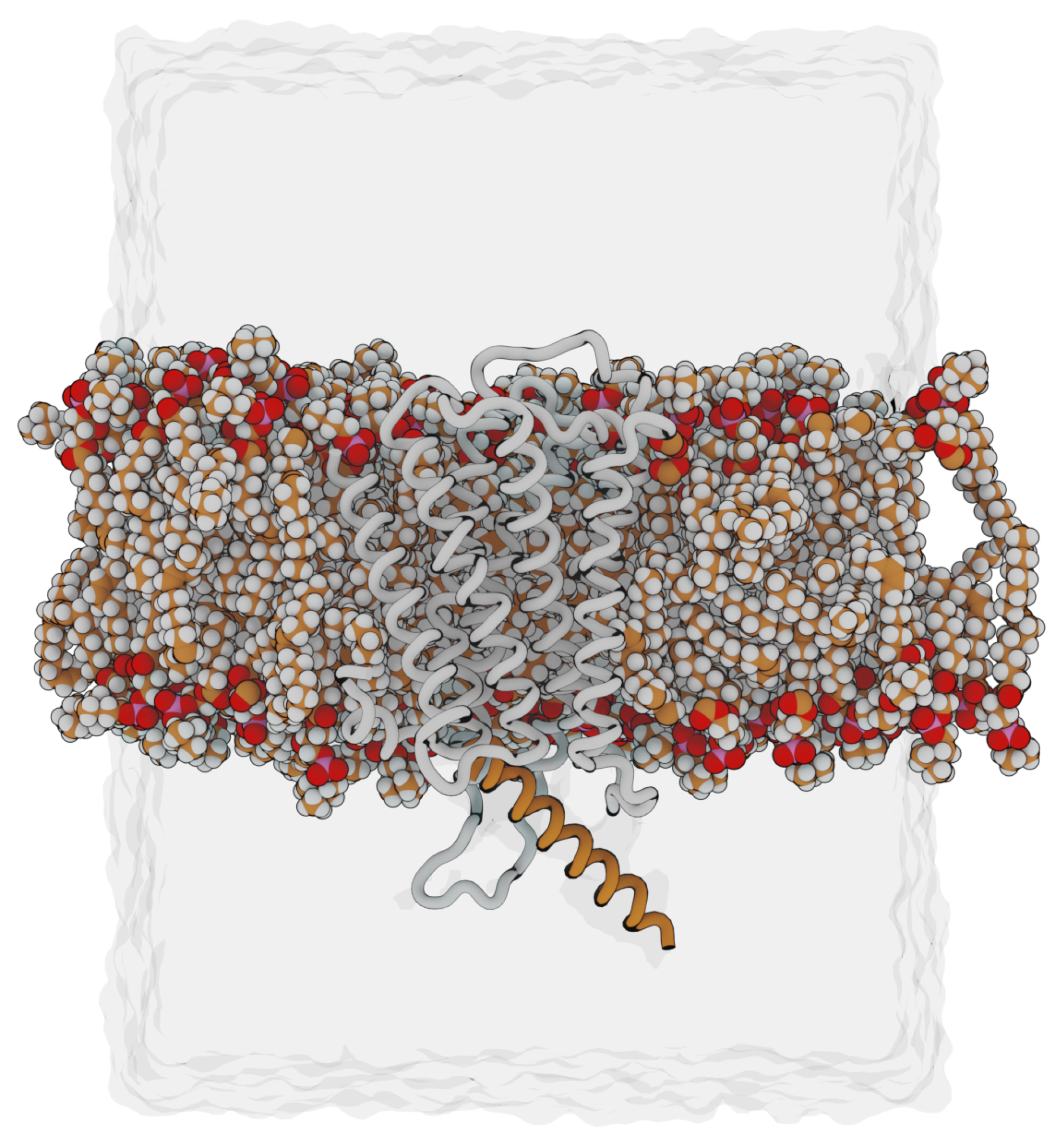 Molecules 28 03774 g012