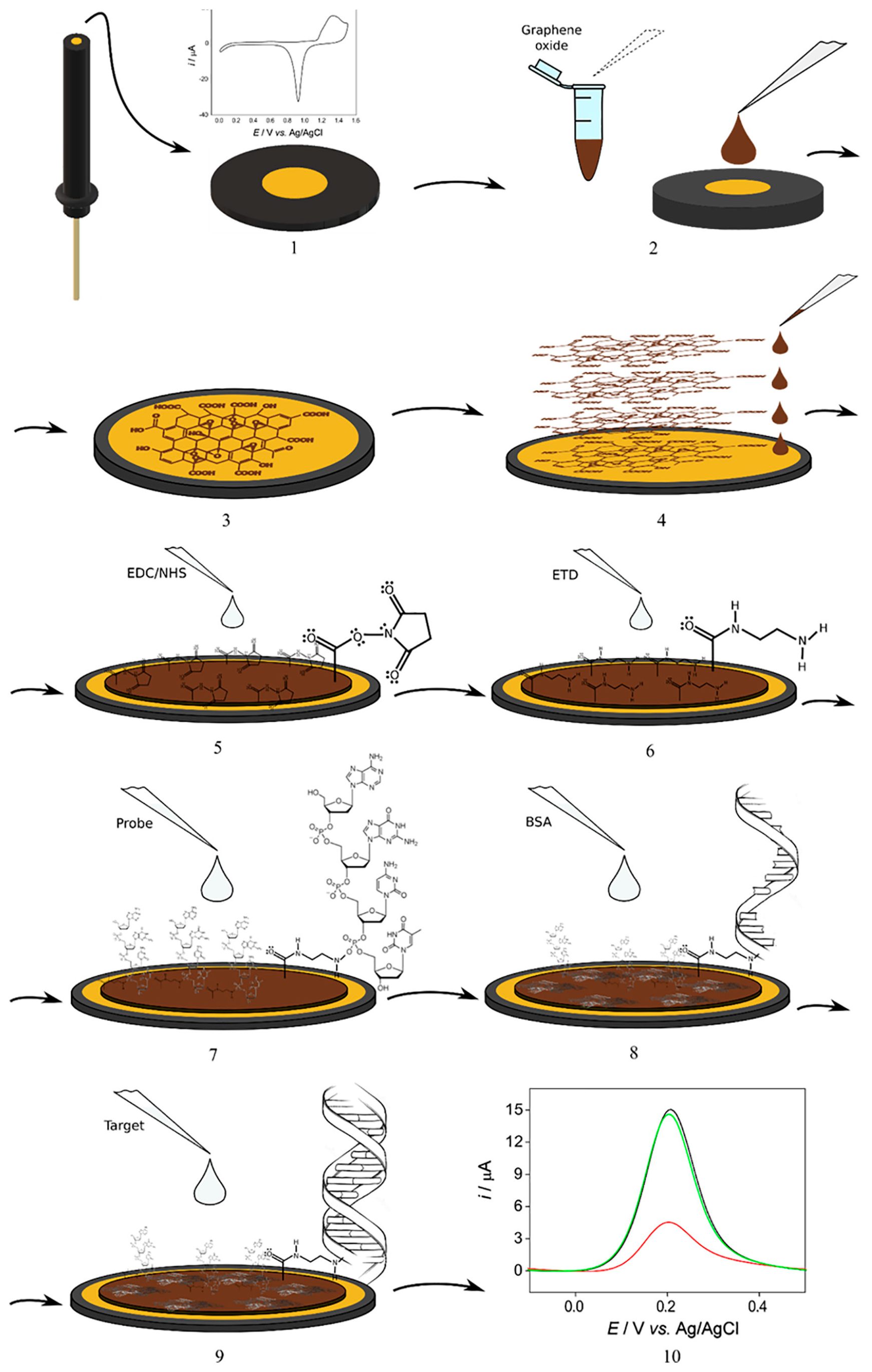 Molecules 28 03777 g003
