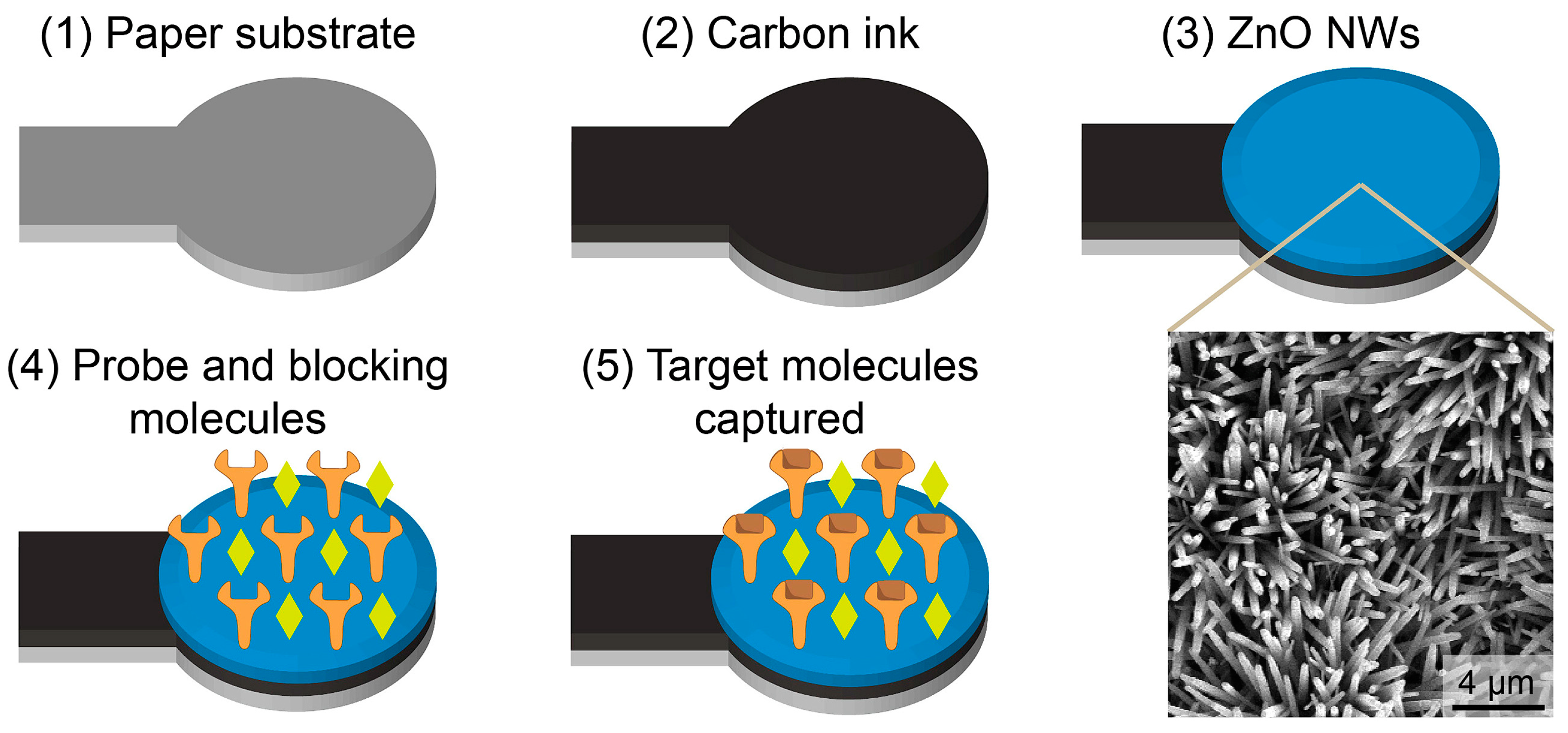 Molecules 28 03777 g010