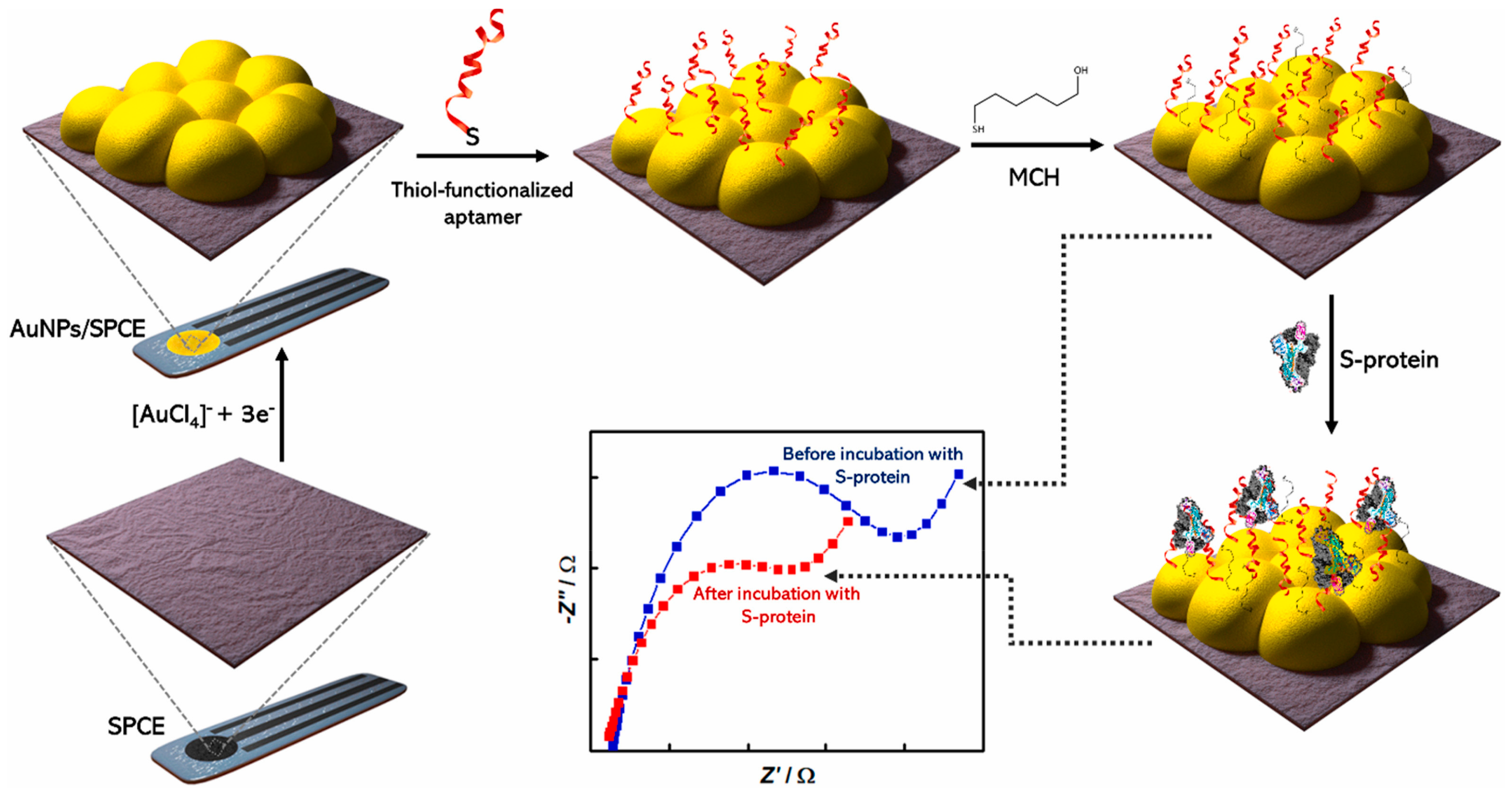 Molecules 28 03777 g014