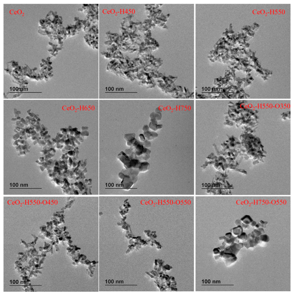 Molecules 28 03785 g003