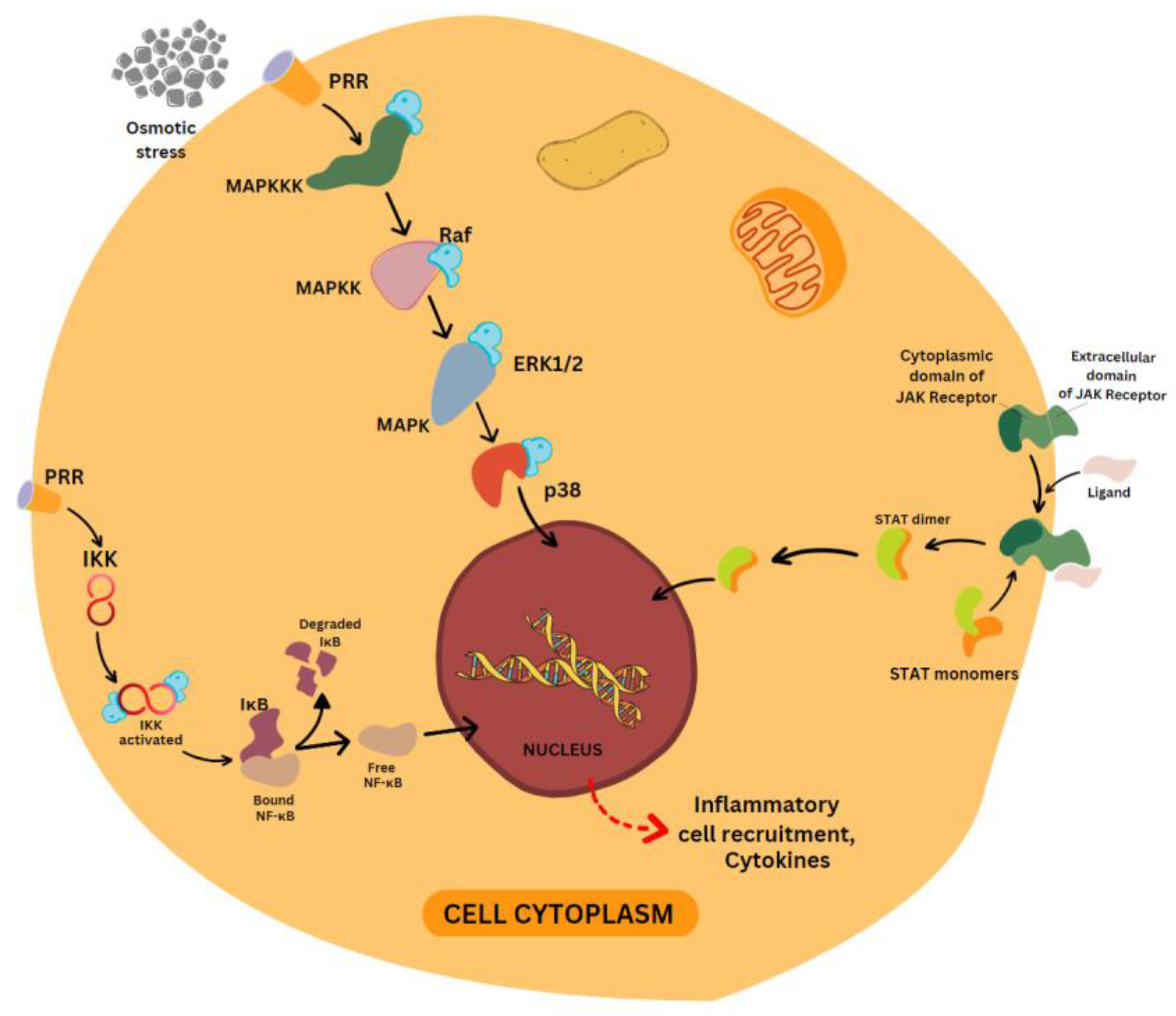 Molecules 28 03786 g002