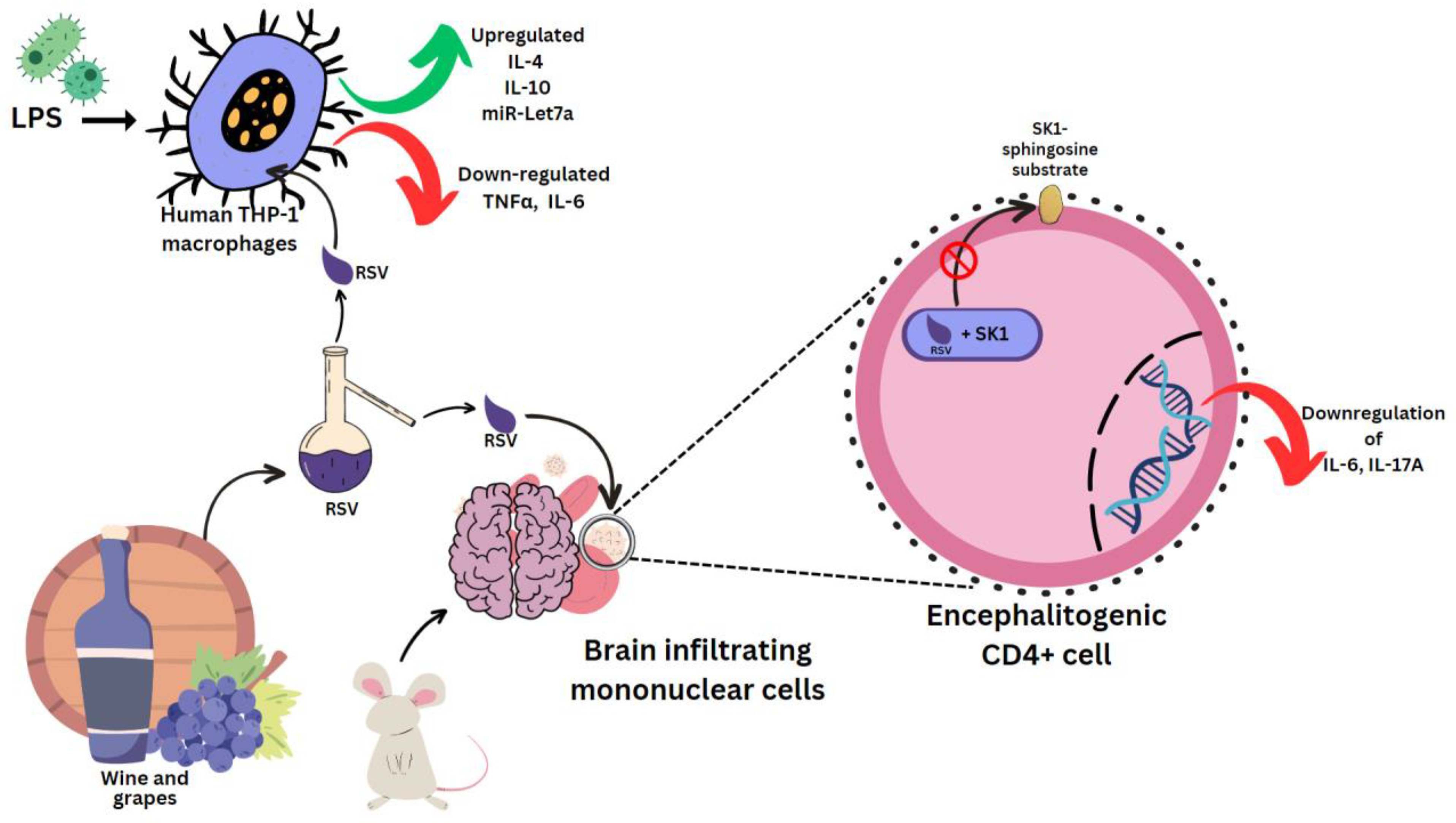 Molecules 28 03786 g003