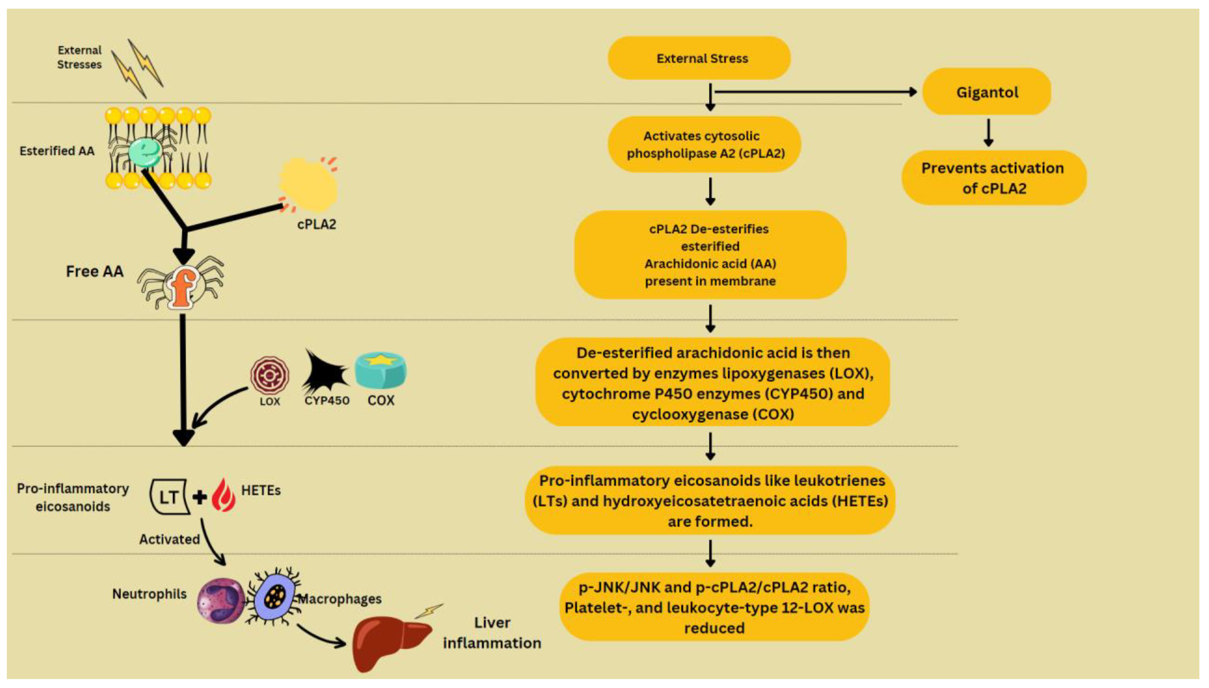 Molecules 28 03786 g004