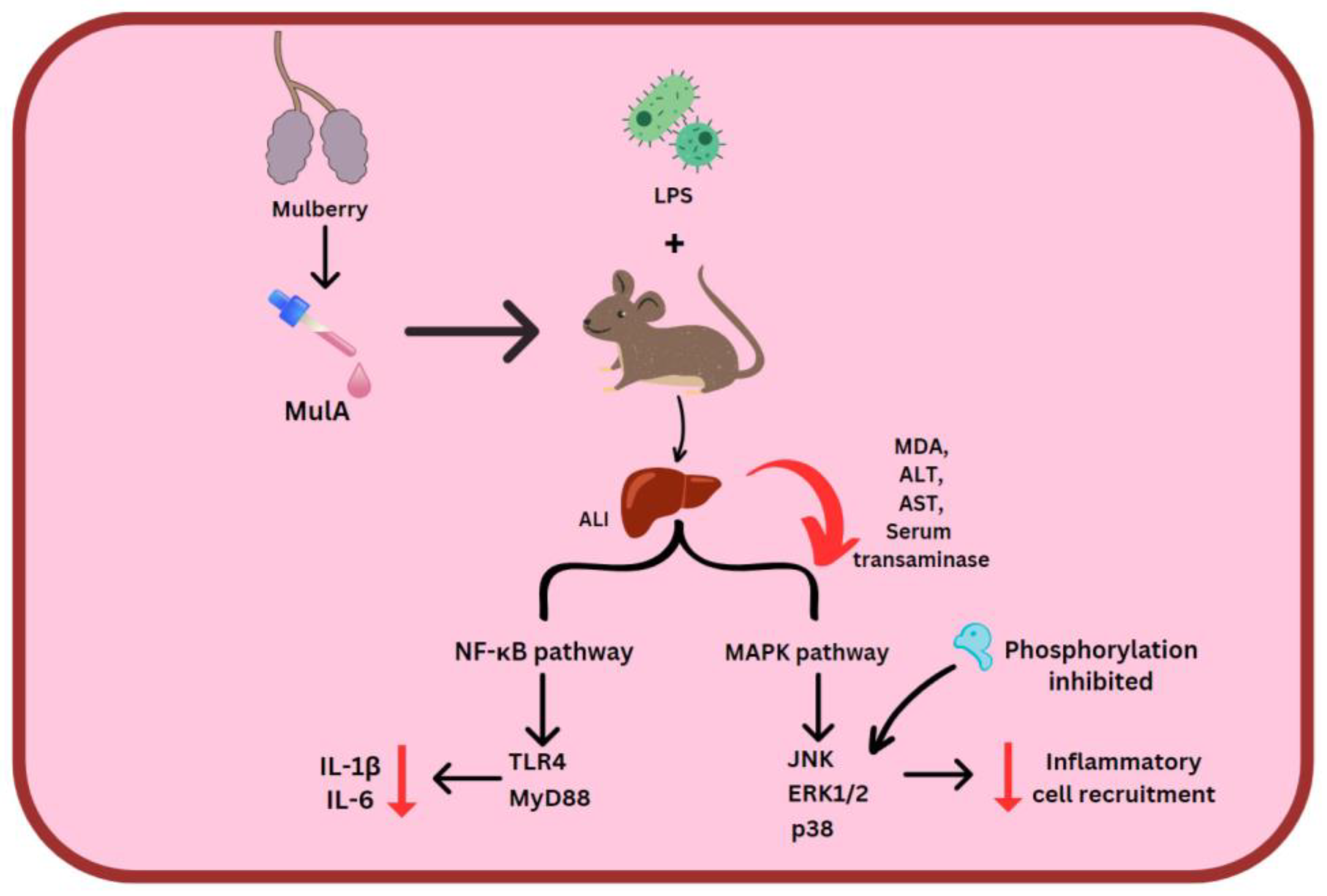 Molecules 28 03786 g005