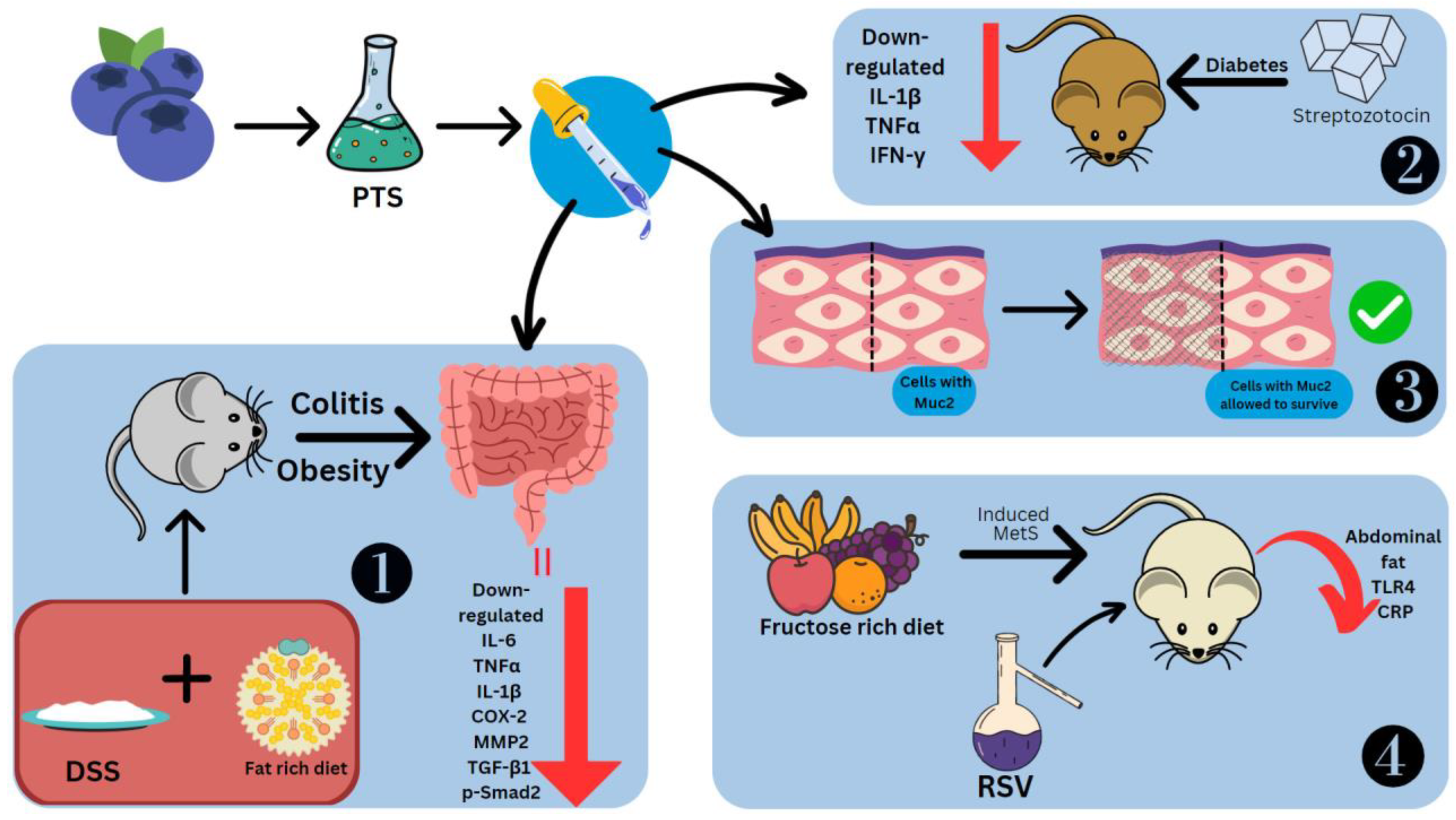 Molecules 28 03786 g006