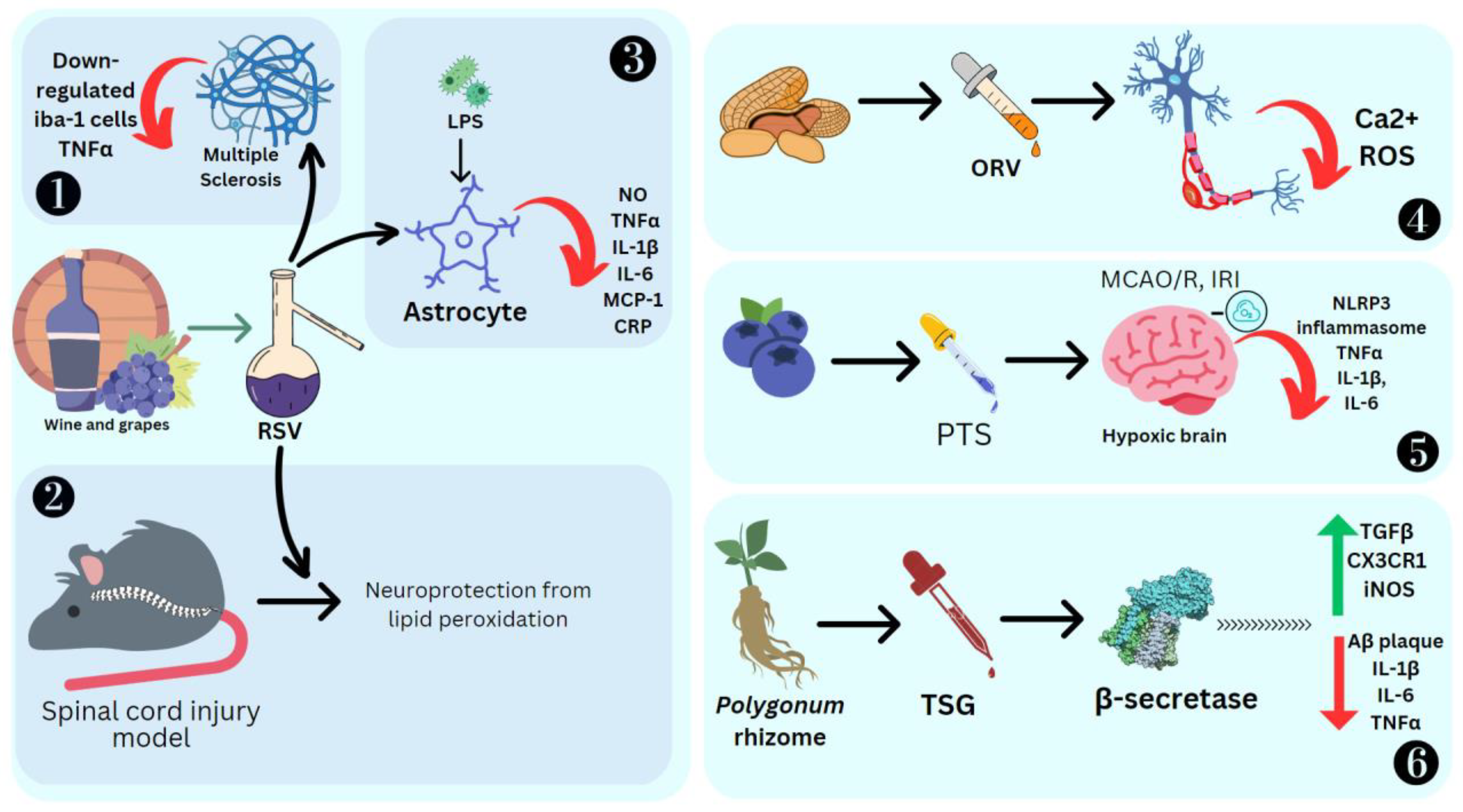 Molecules 28 03786 g007