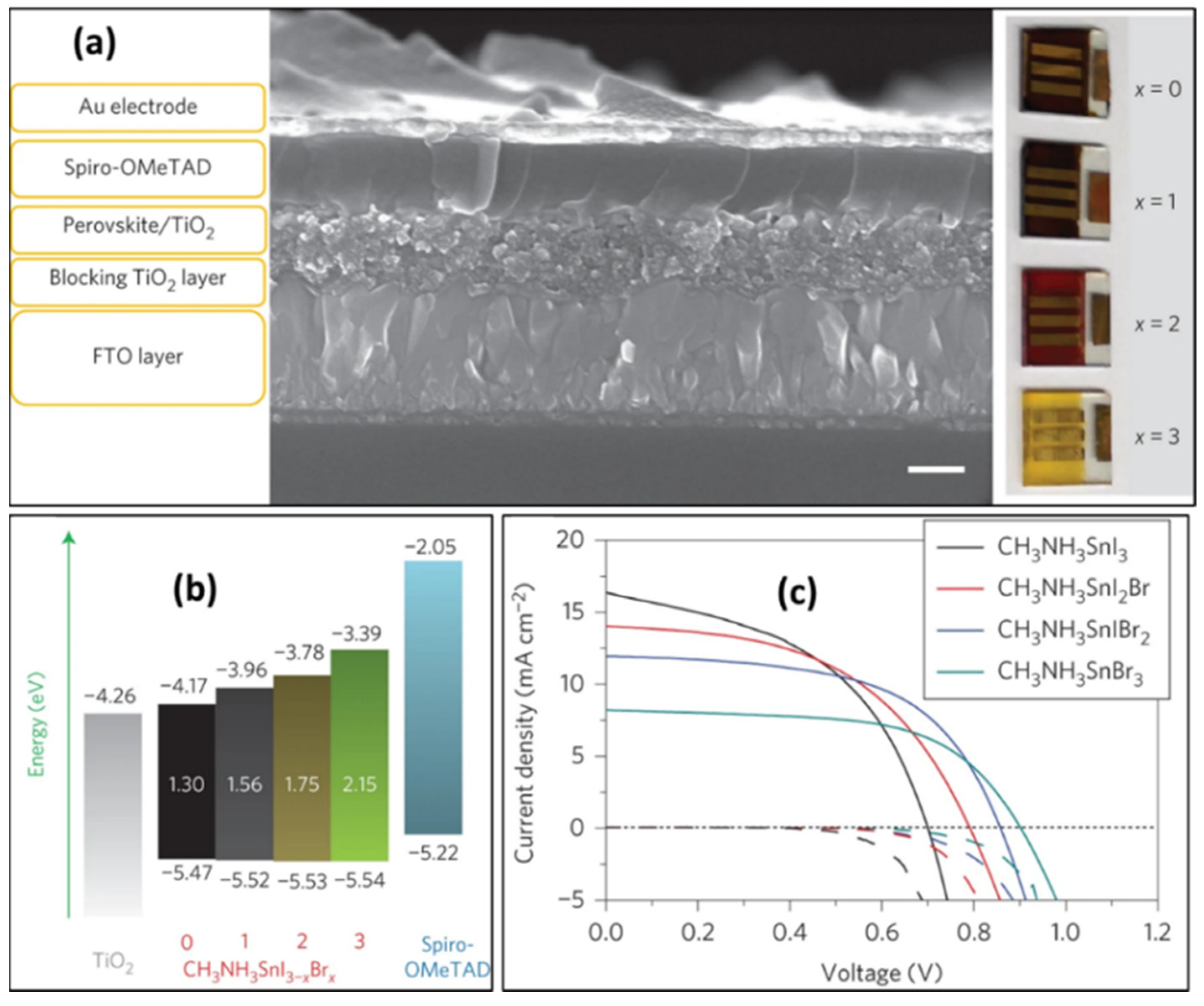 Molecules 28 03787 g004