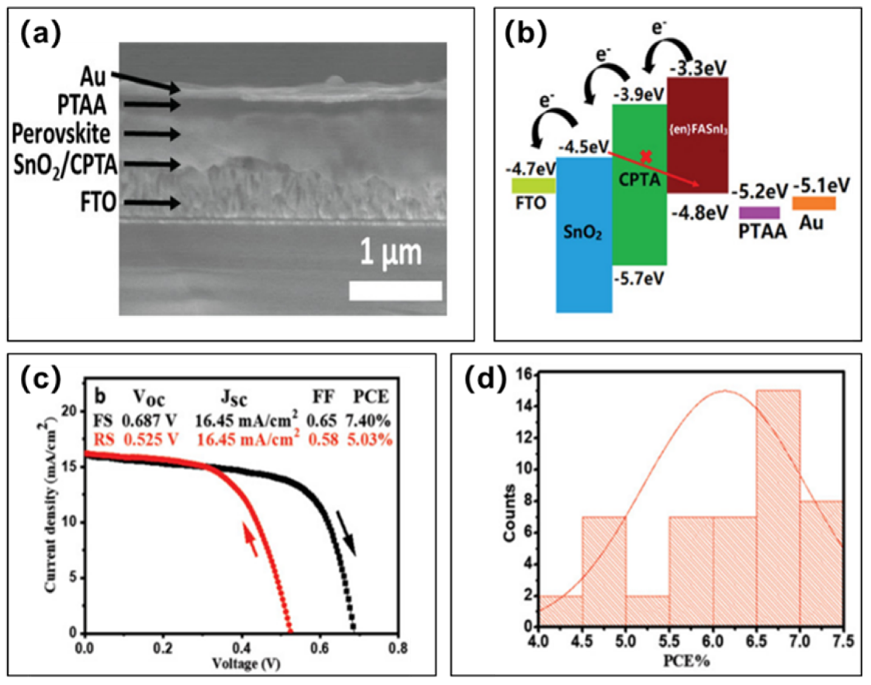 Molecules 28 03787 g008