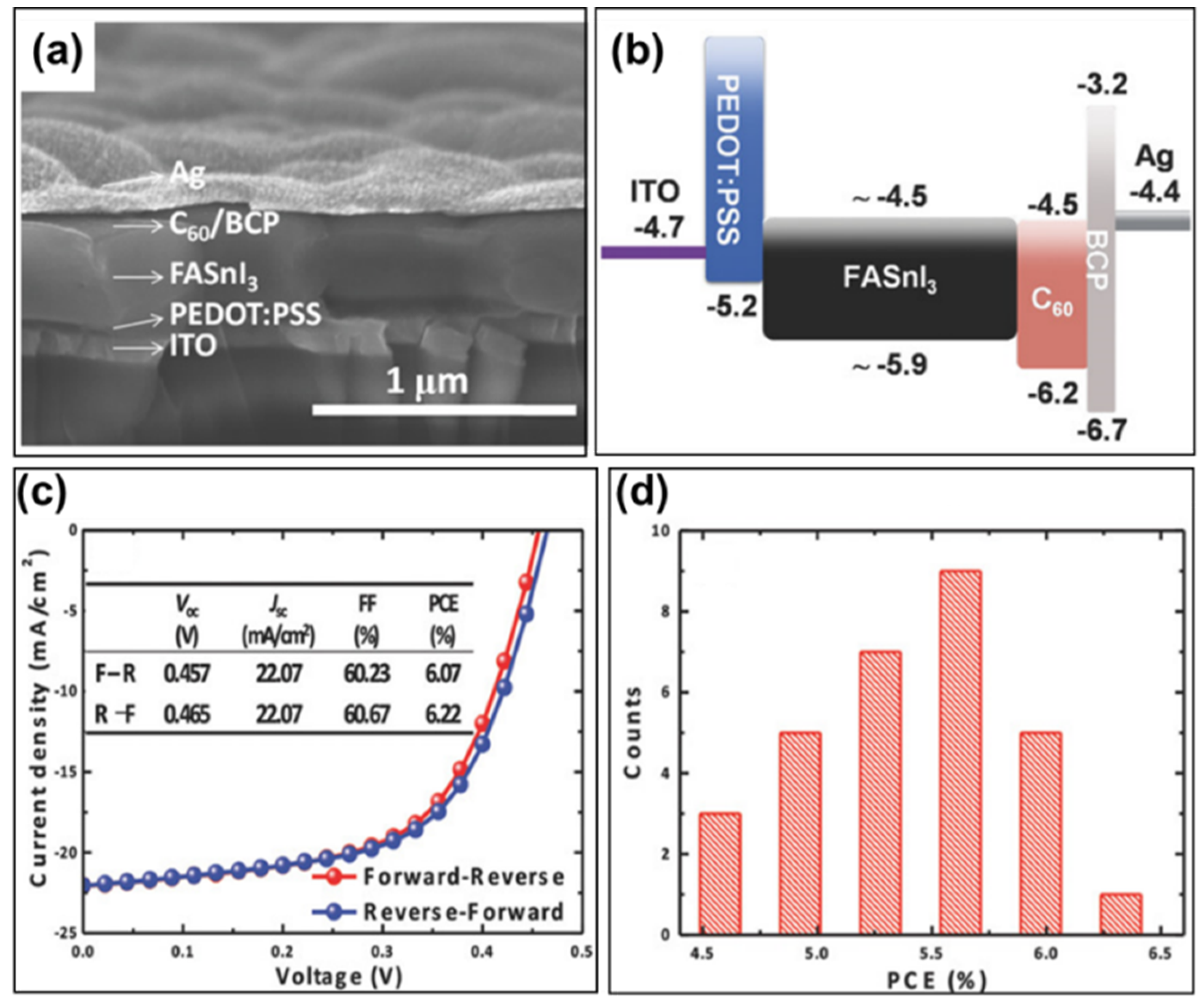 Molecules 28 03787 g014