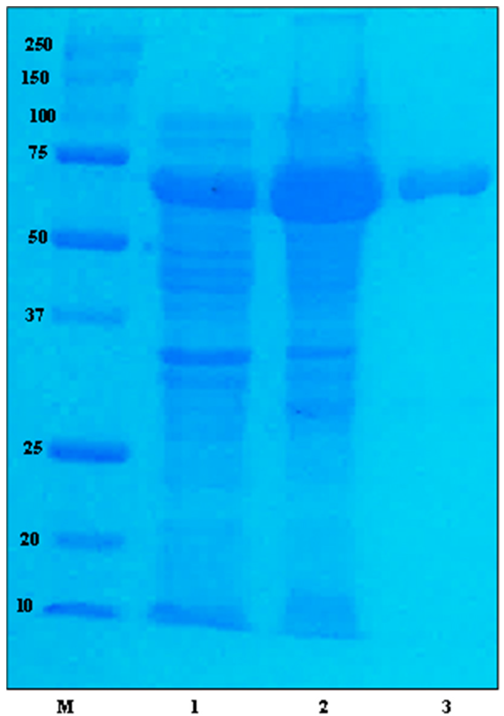Molecules 28 03792 g001
