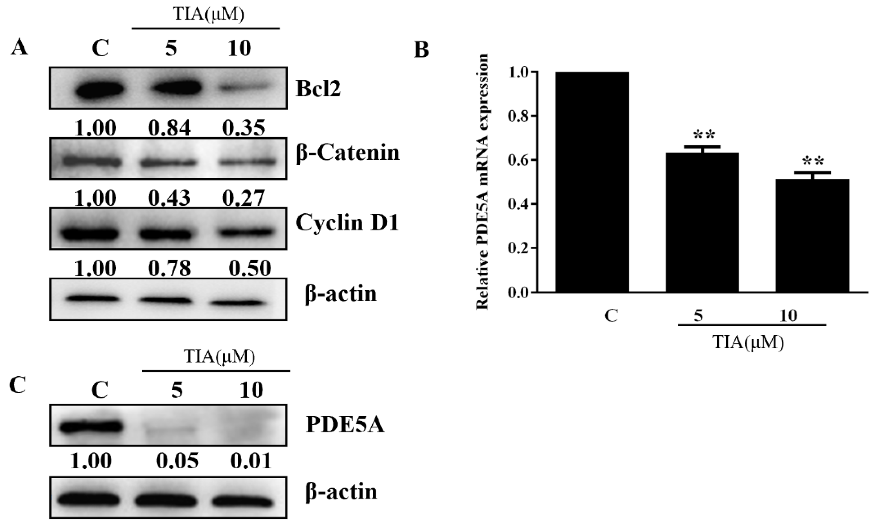 Molecules 28 03795 g002