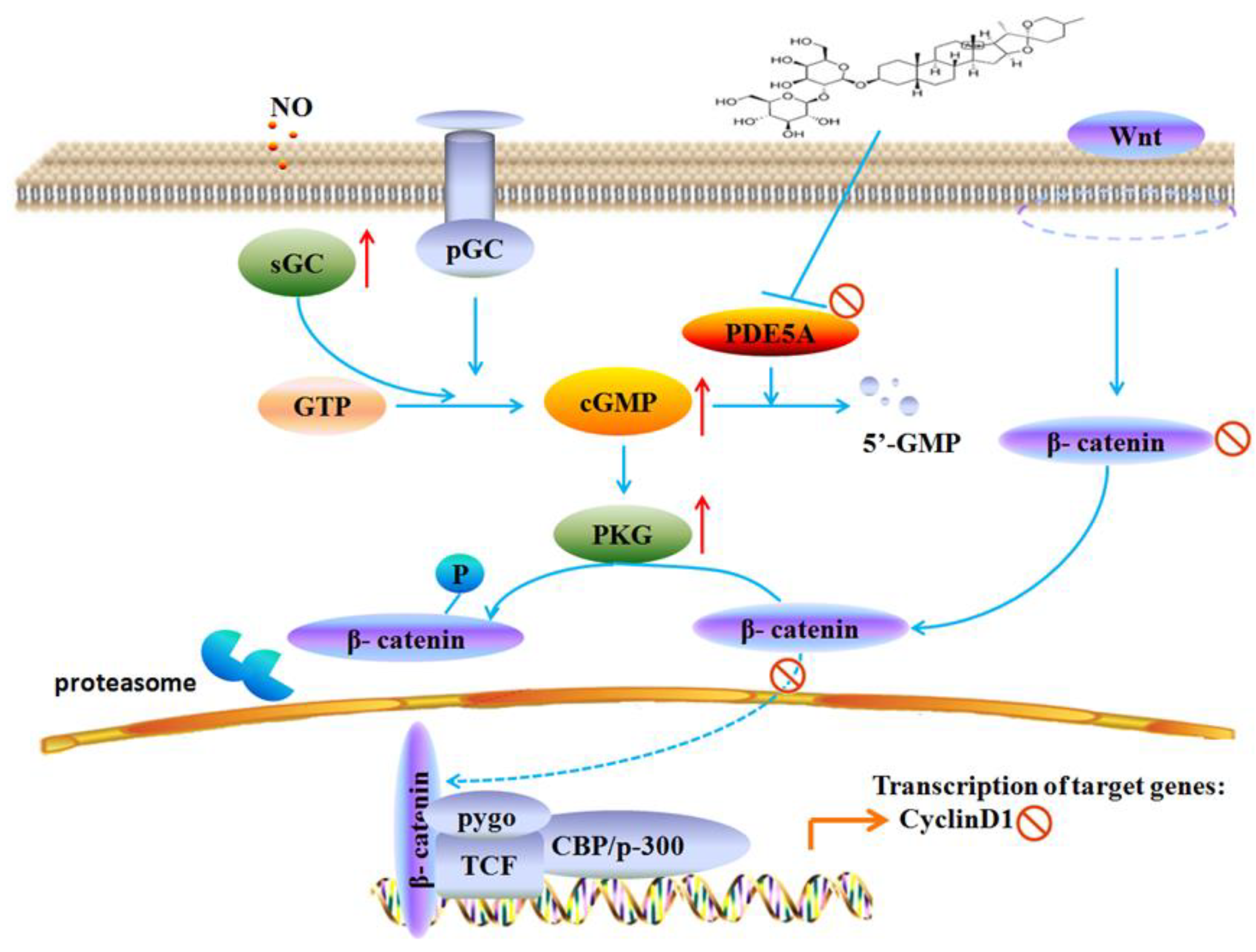 Molecules 28 03795 g007
