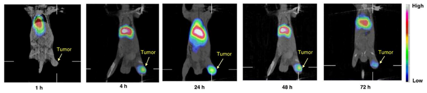 Molecules 28 03798 g001