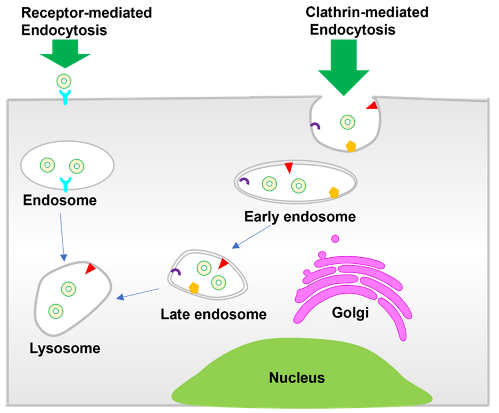 Molecules 28 03798 sch002