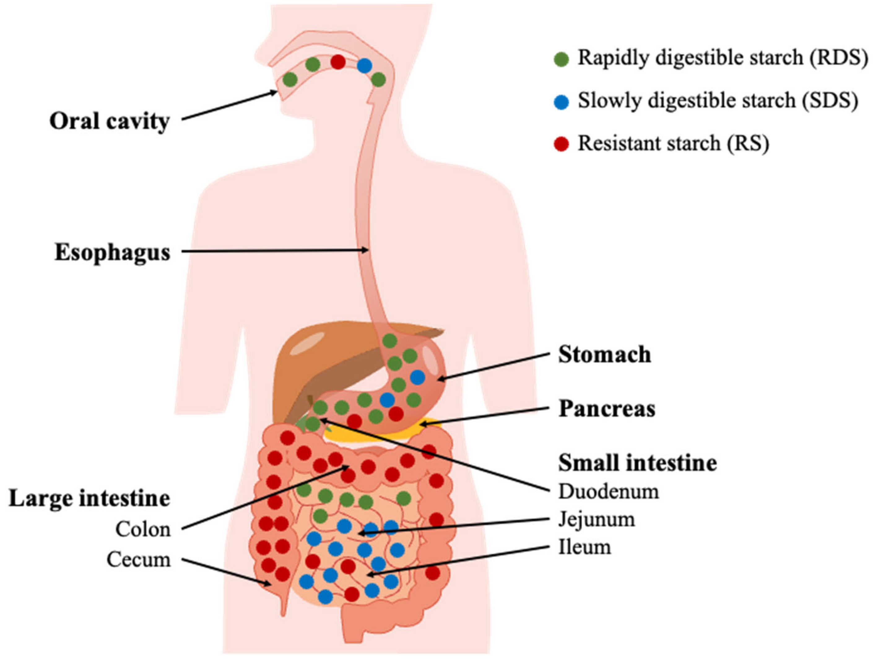 Molecules 28 03799 g004